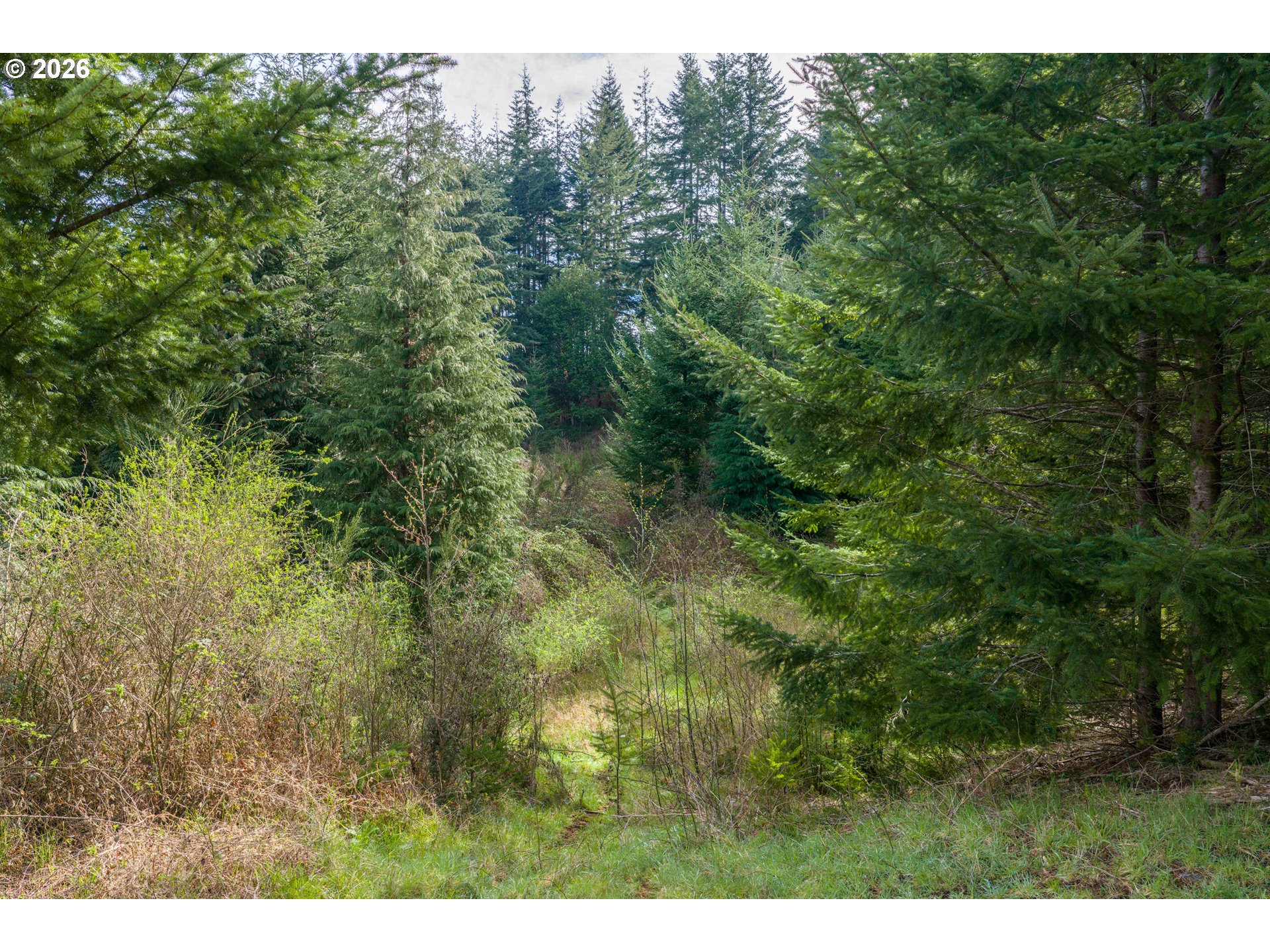 93549 PATTERSON LN, Coos Bay, OR, 97420