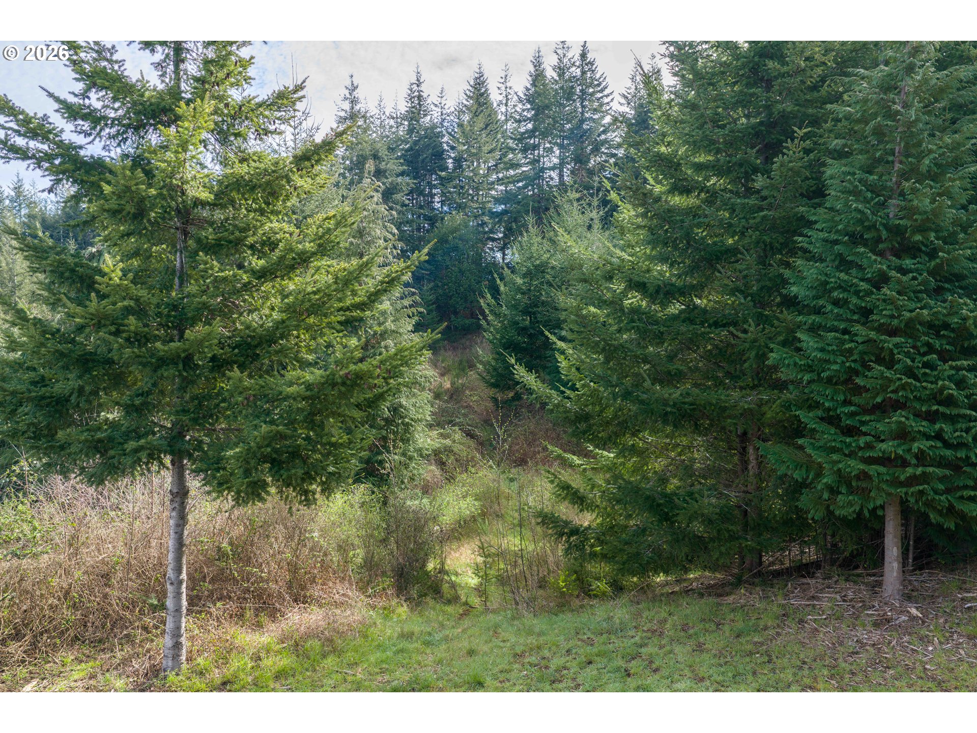 93549 PATTERSON LN, Coos Bay, OR, 97420