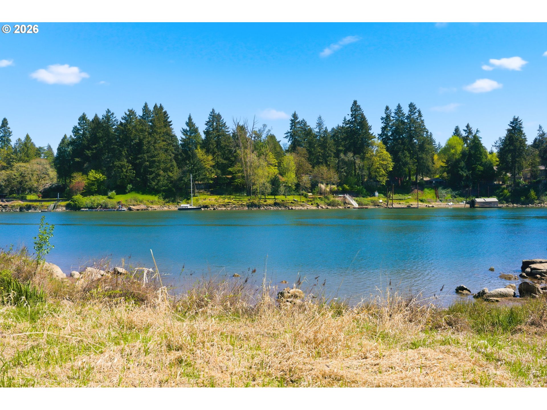 Photo #5: 237801237 Listing: Photo #5