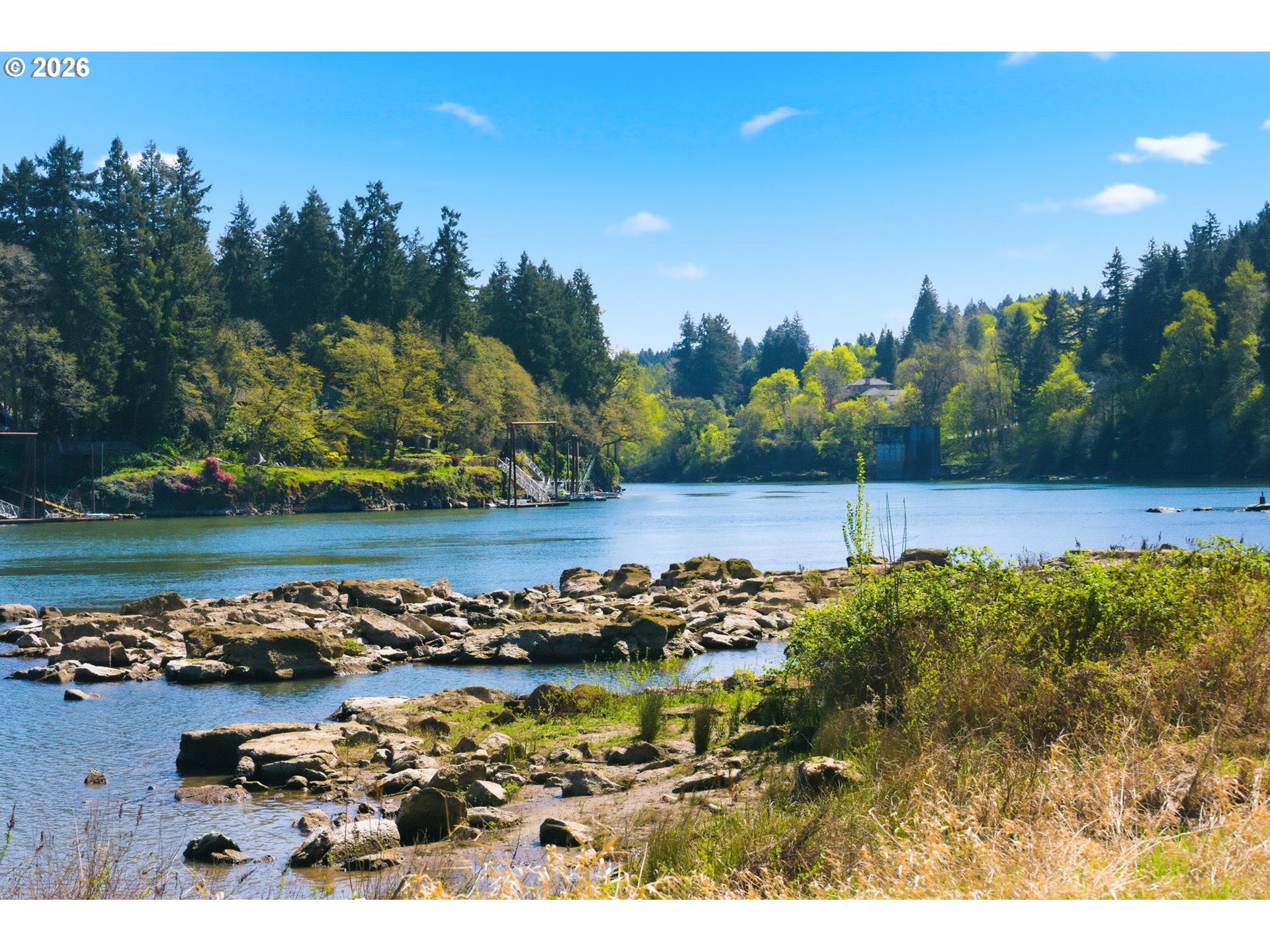 Photo #14: 237801237 Listing: Photo #14