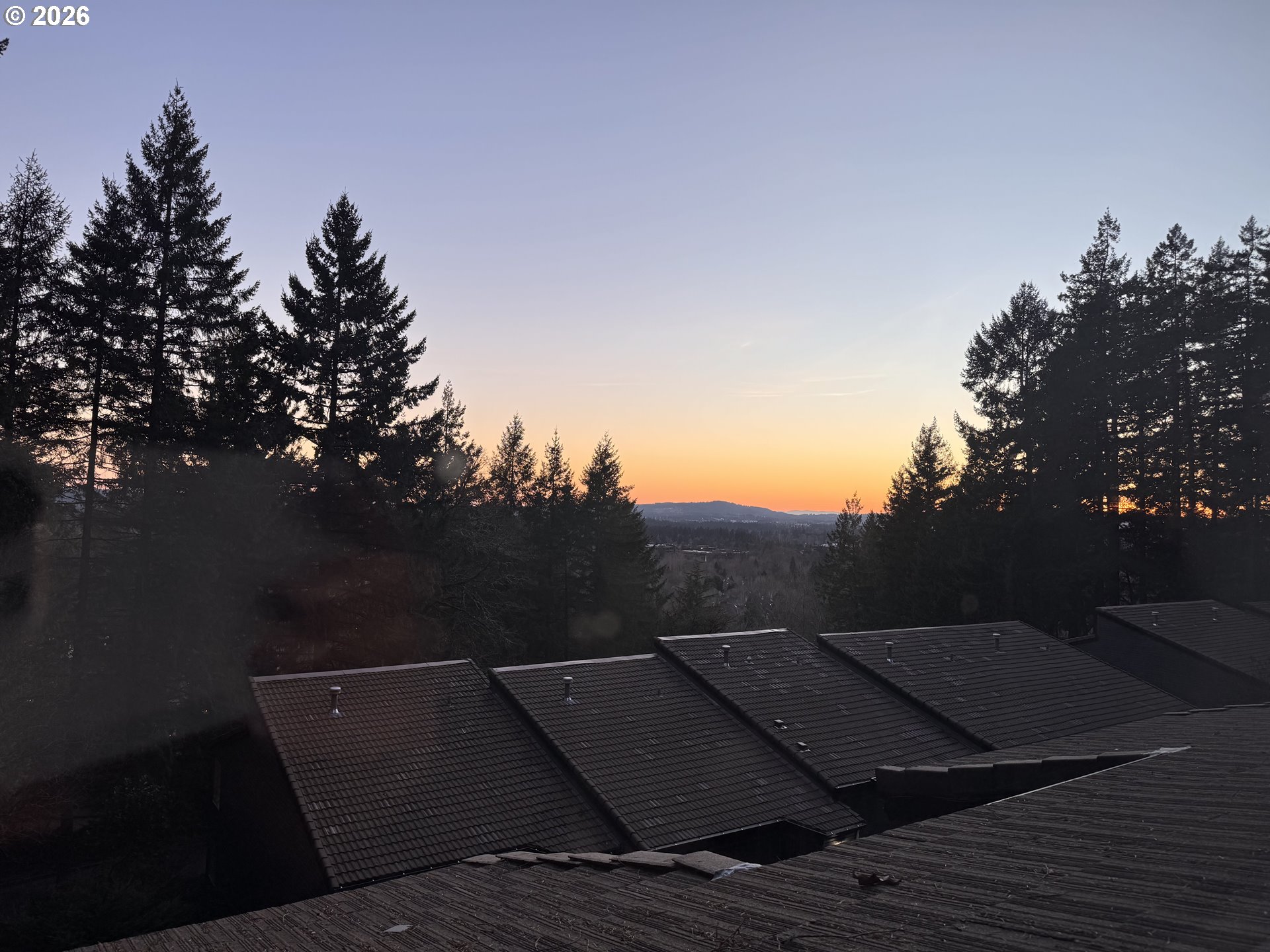 Photo #25: 237950272 Listing: Photo #25