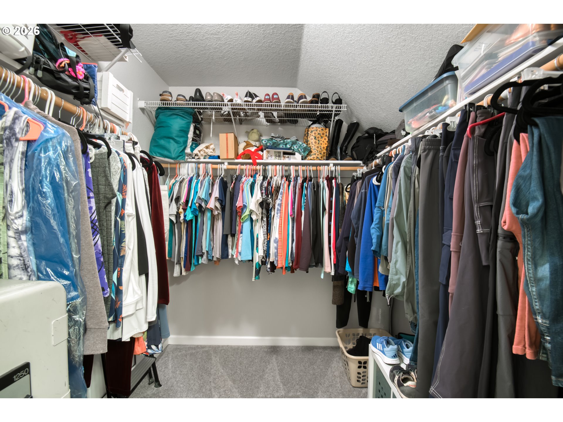 Photo #22: 238812921 Listing: Photo #22