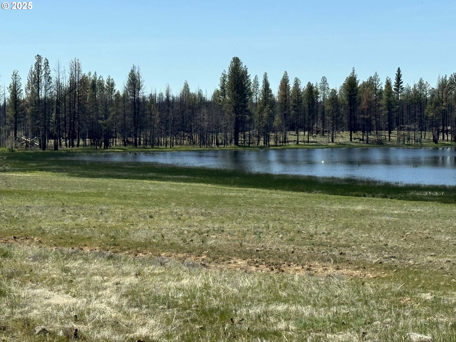 Off-Hicks Road UNIT Lot 3, Bly, OR, 97622