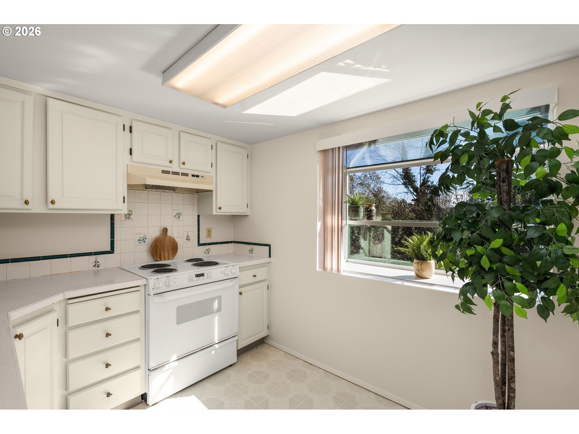 Photo #5: 239149173 Listing: Photo #5