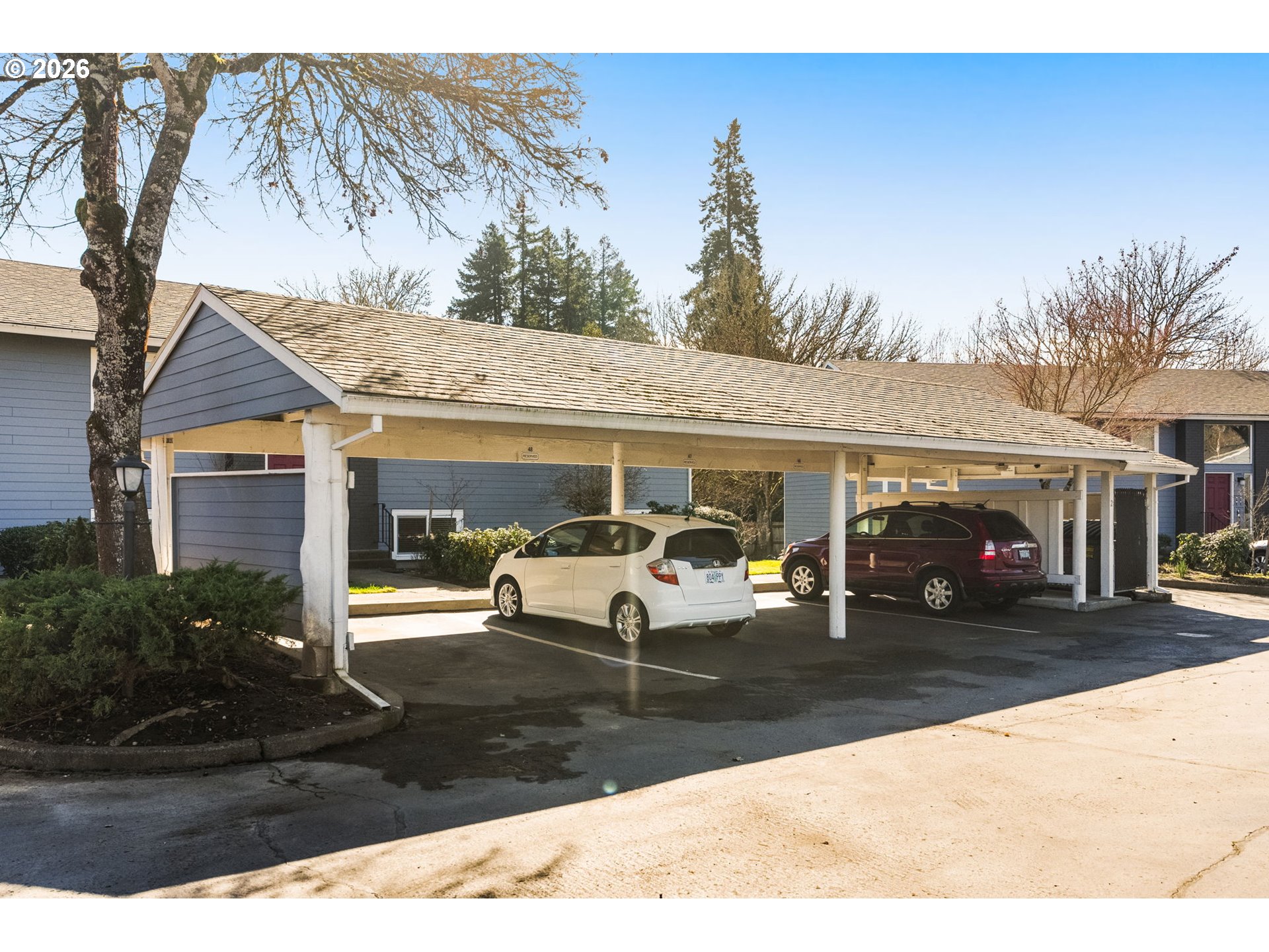 Photo #17: 239149173 Listing: Photo #17