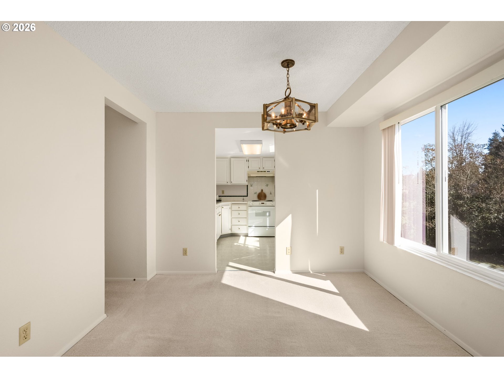 Photo #1: 239149173 Listing: Photo #1