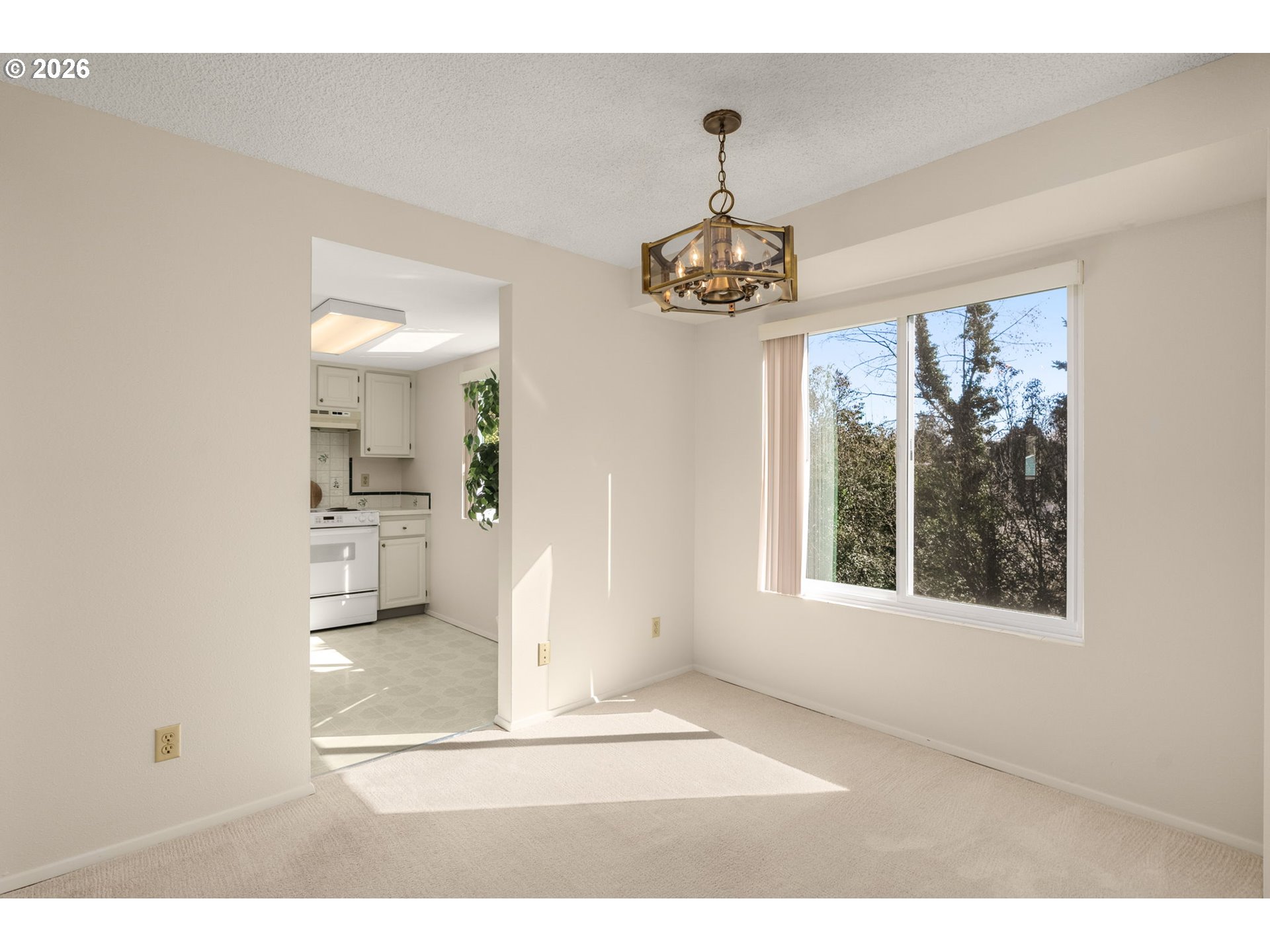 Photo #2: 239149173 Listing: Photo #2