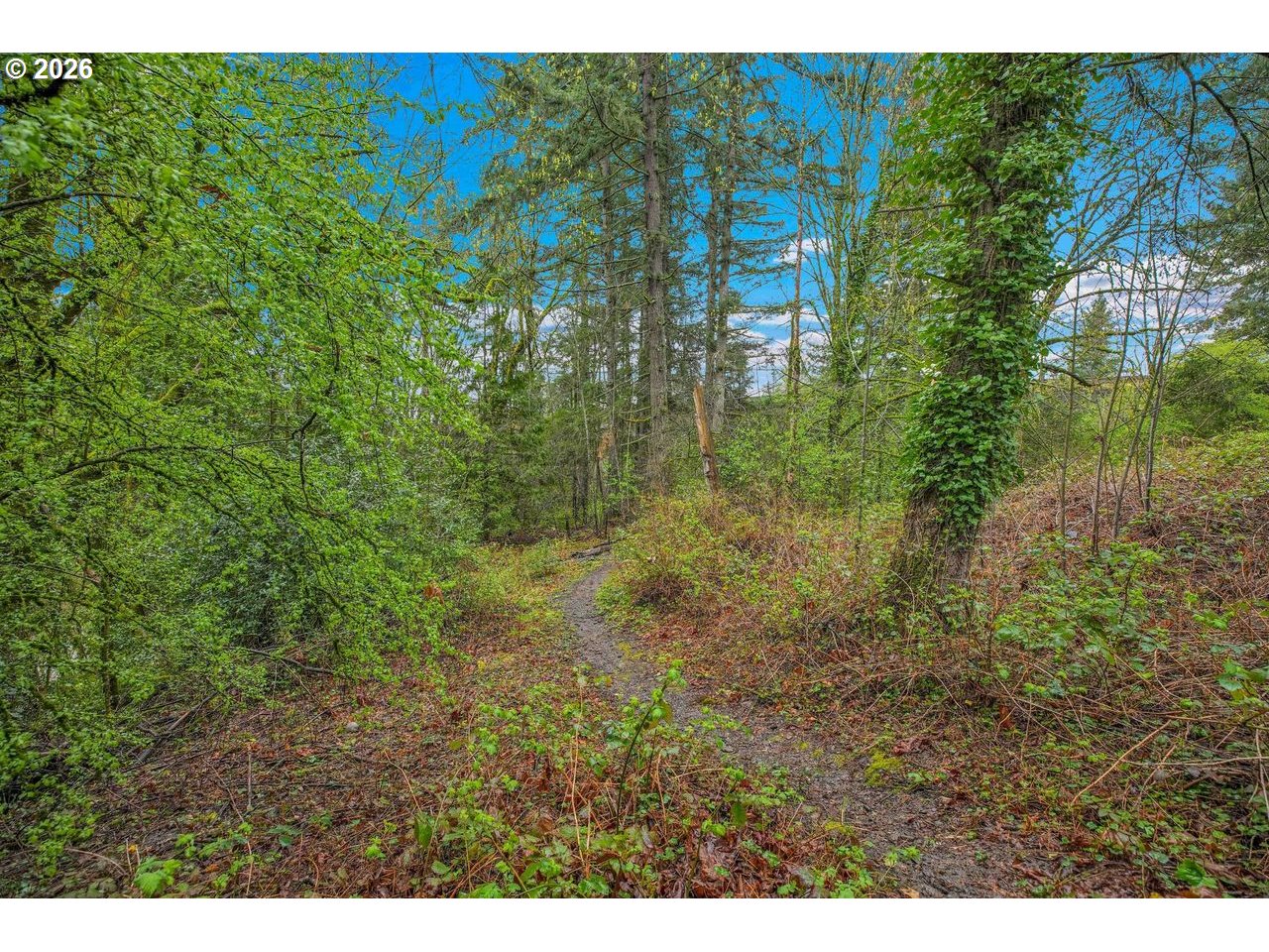 Photo #32: 239569874 Listing: Photo #32