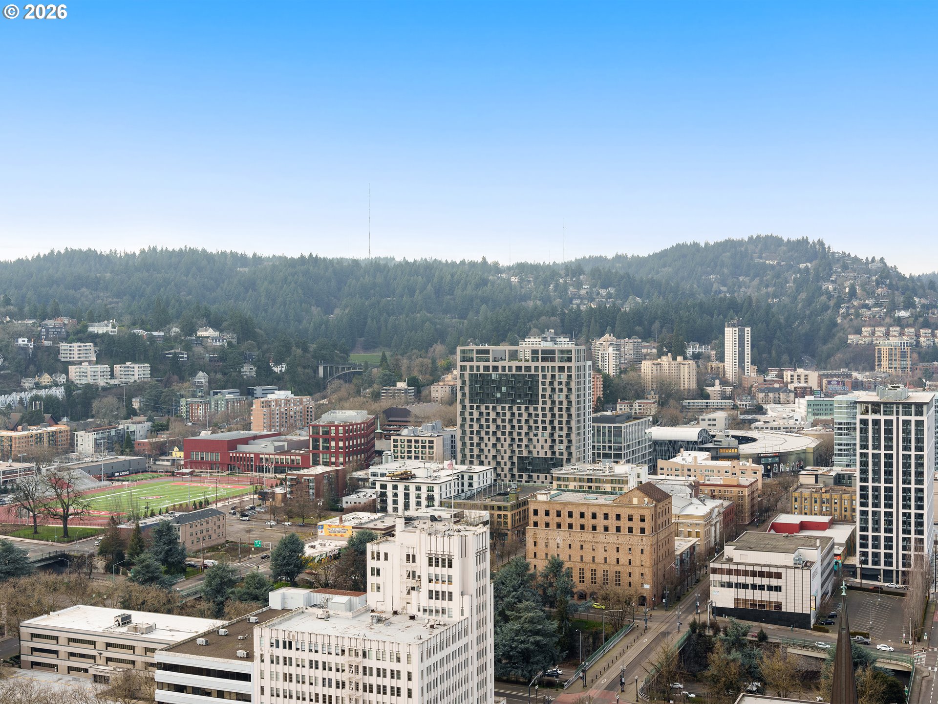 Photo #3: 239580231 Listing: Photo #3