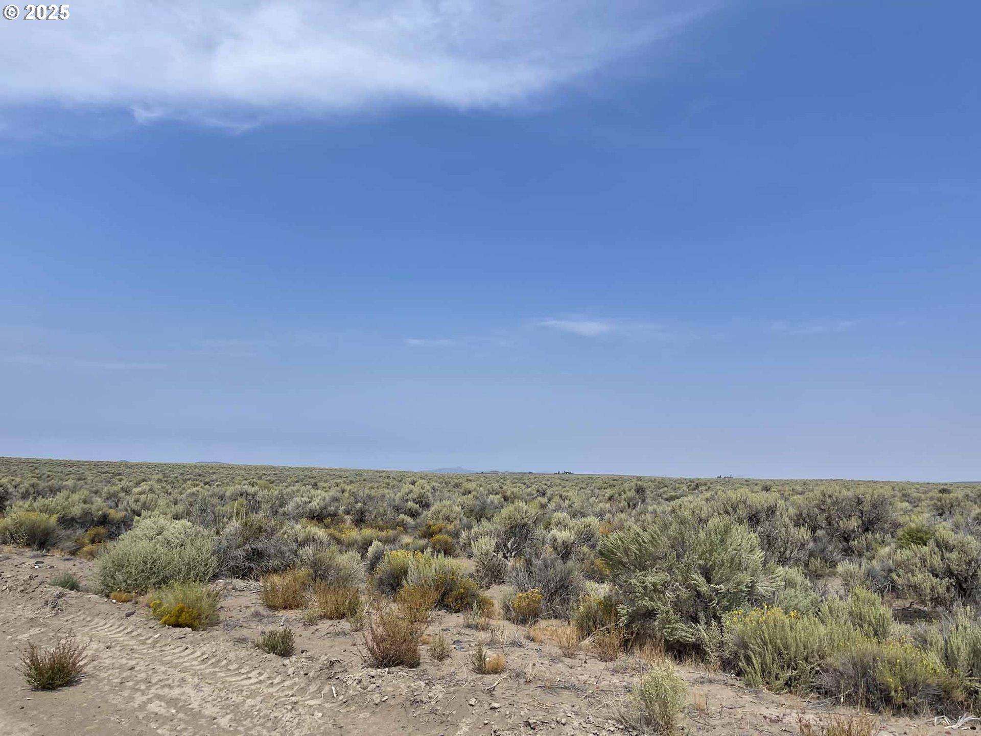 Search Homes for Sale