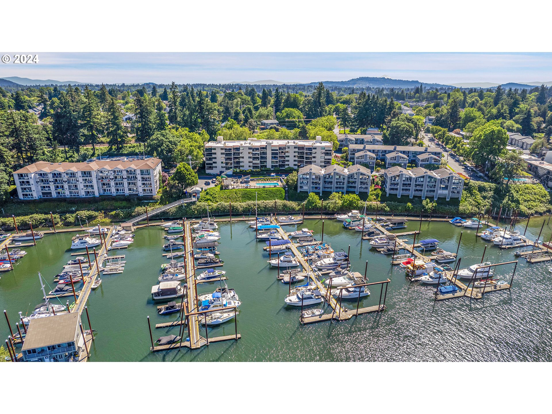 Photo #5: 24004931 Listing 
