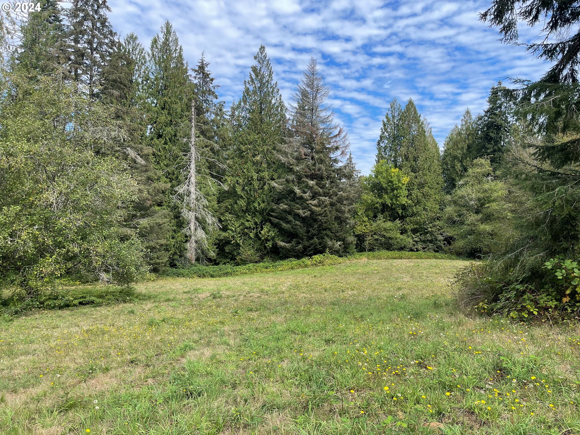  Brown Rd #1, Washougal, WA 98671