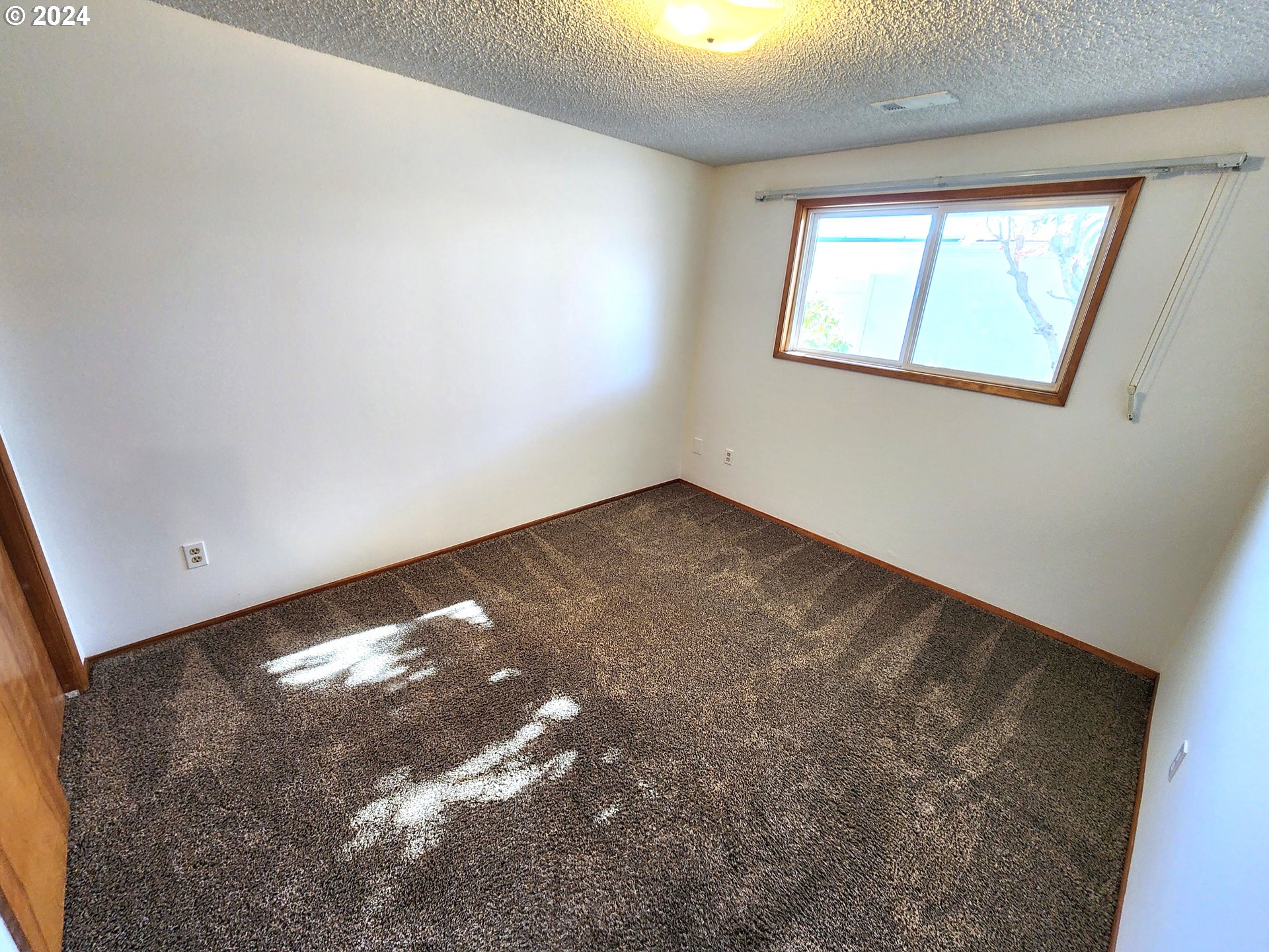 Photo #17: 24042964 Listing 