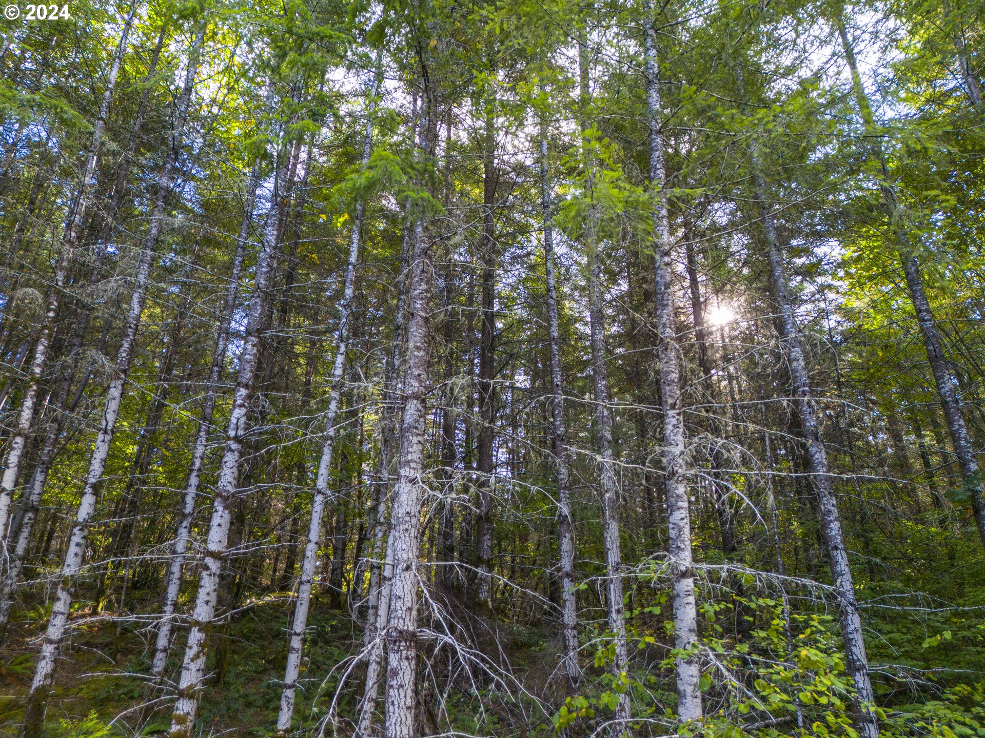 0 Sutherlin LN UNIT 01100, Eugene, OR, 97405