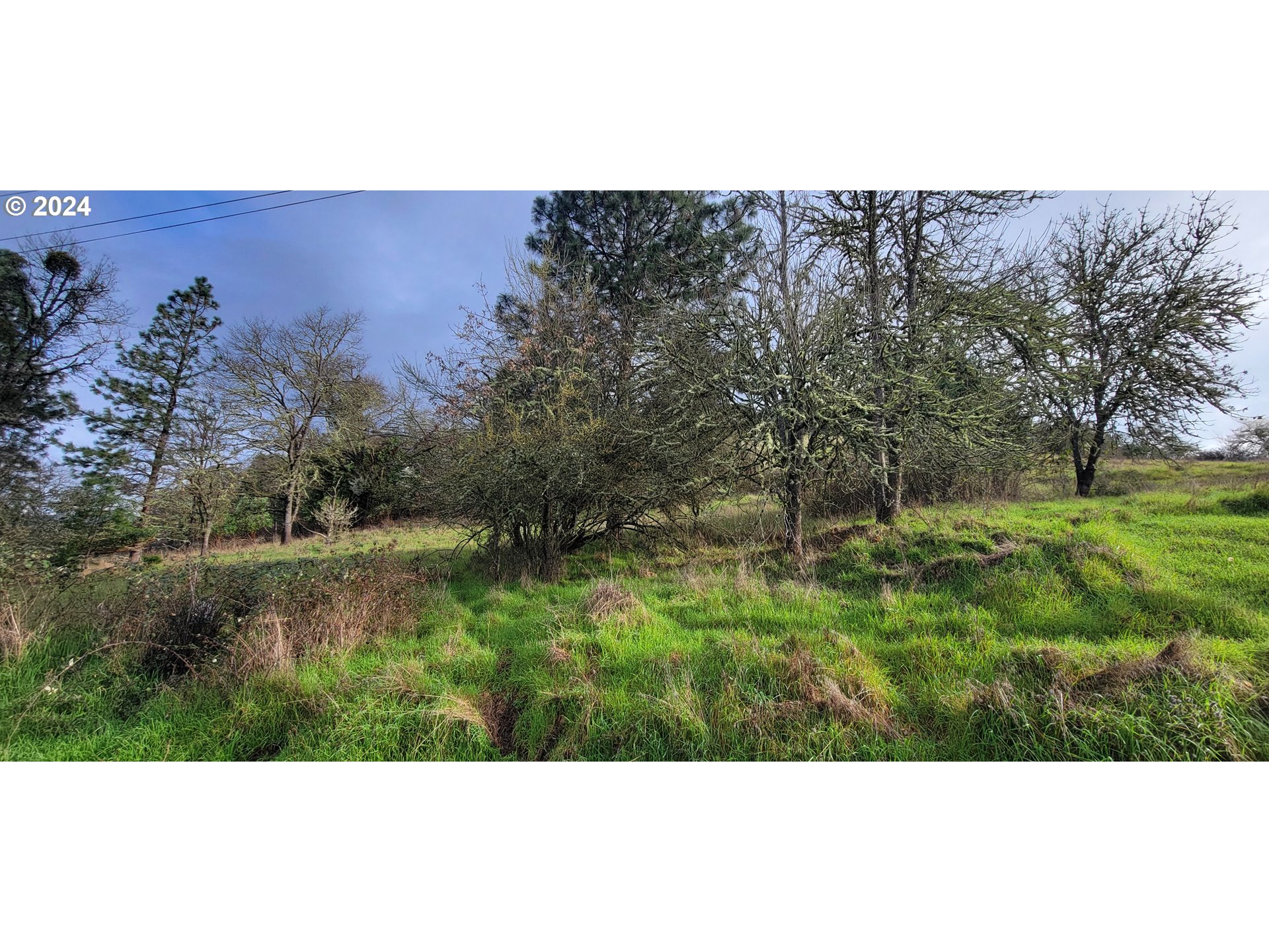 SE ARDIS AVE UNIT 8, Myrtle Creek, OR, 97457