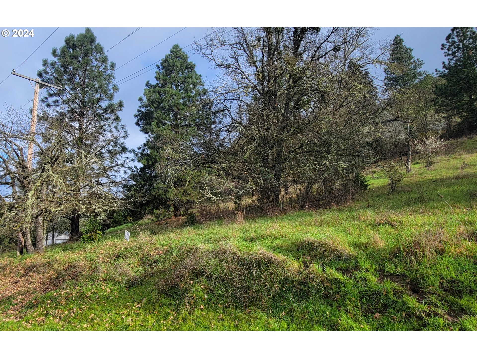 SE ARDIS AVE UNIT 8, Myrtle Creek, OR, 97457