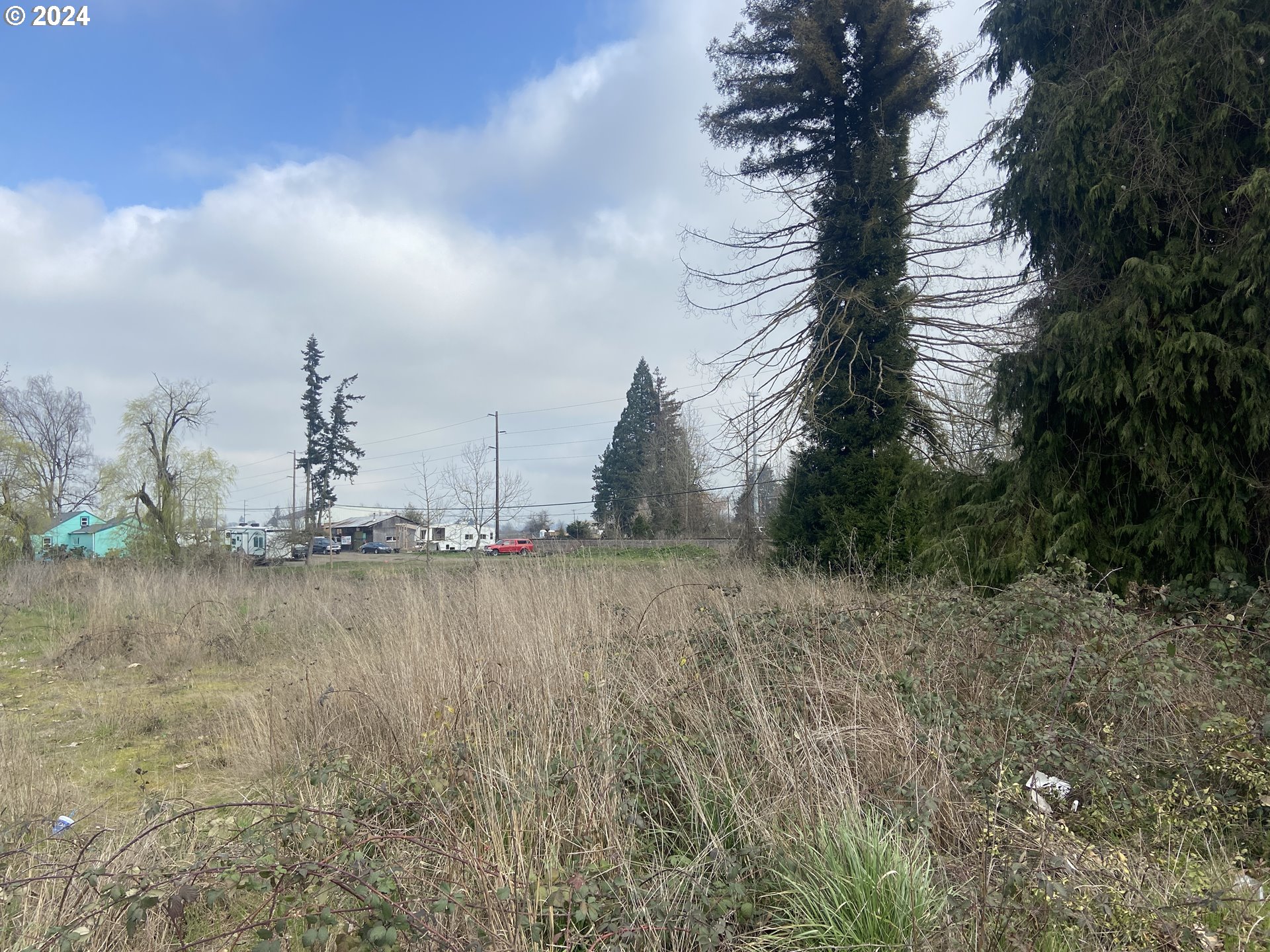 1480 IVY ST, Junction City, OR, 97448