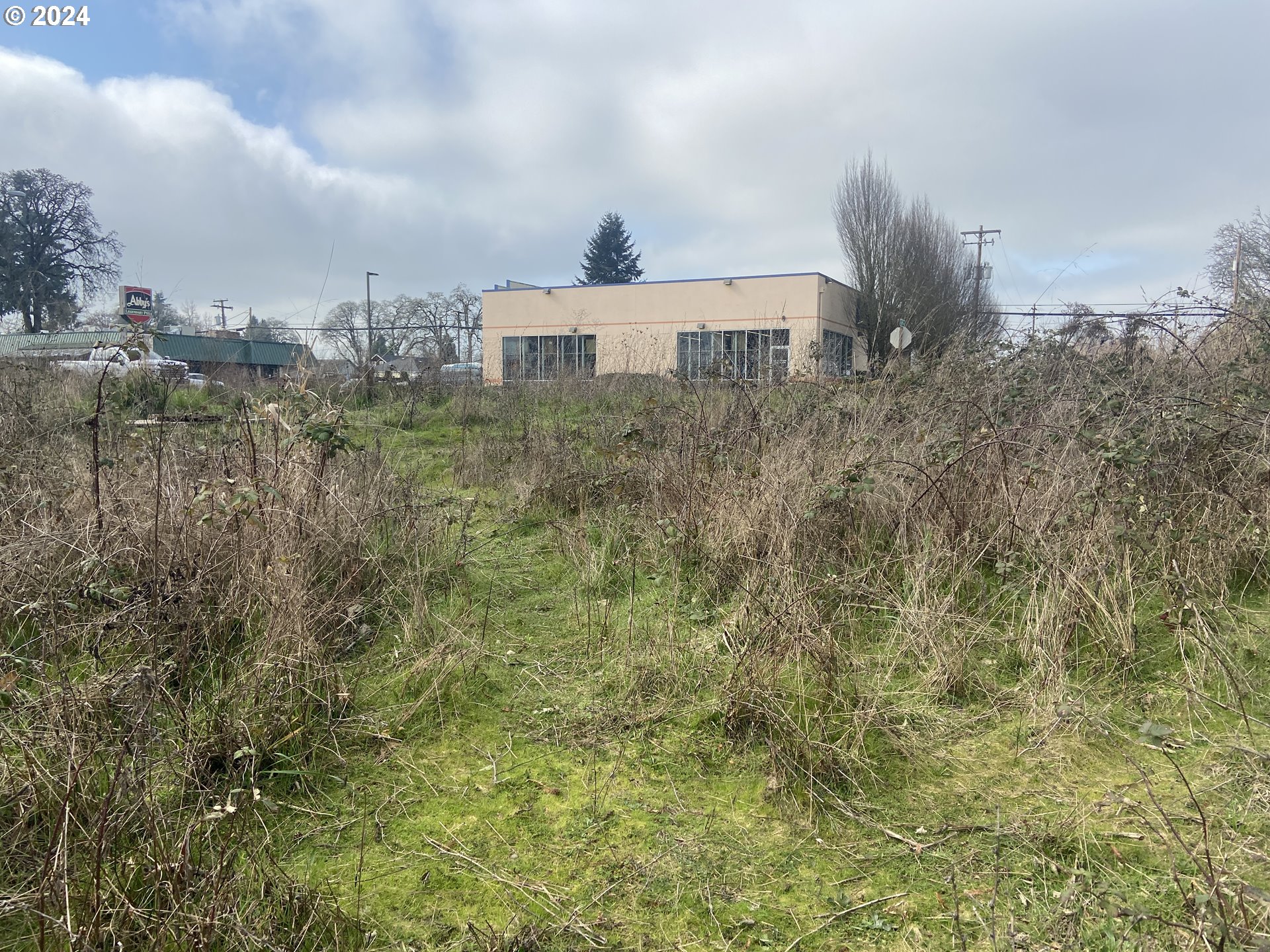 1480 IVY ST, Junction City, OR, 97448