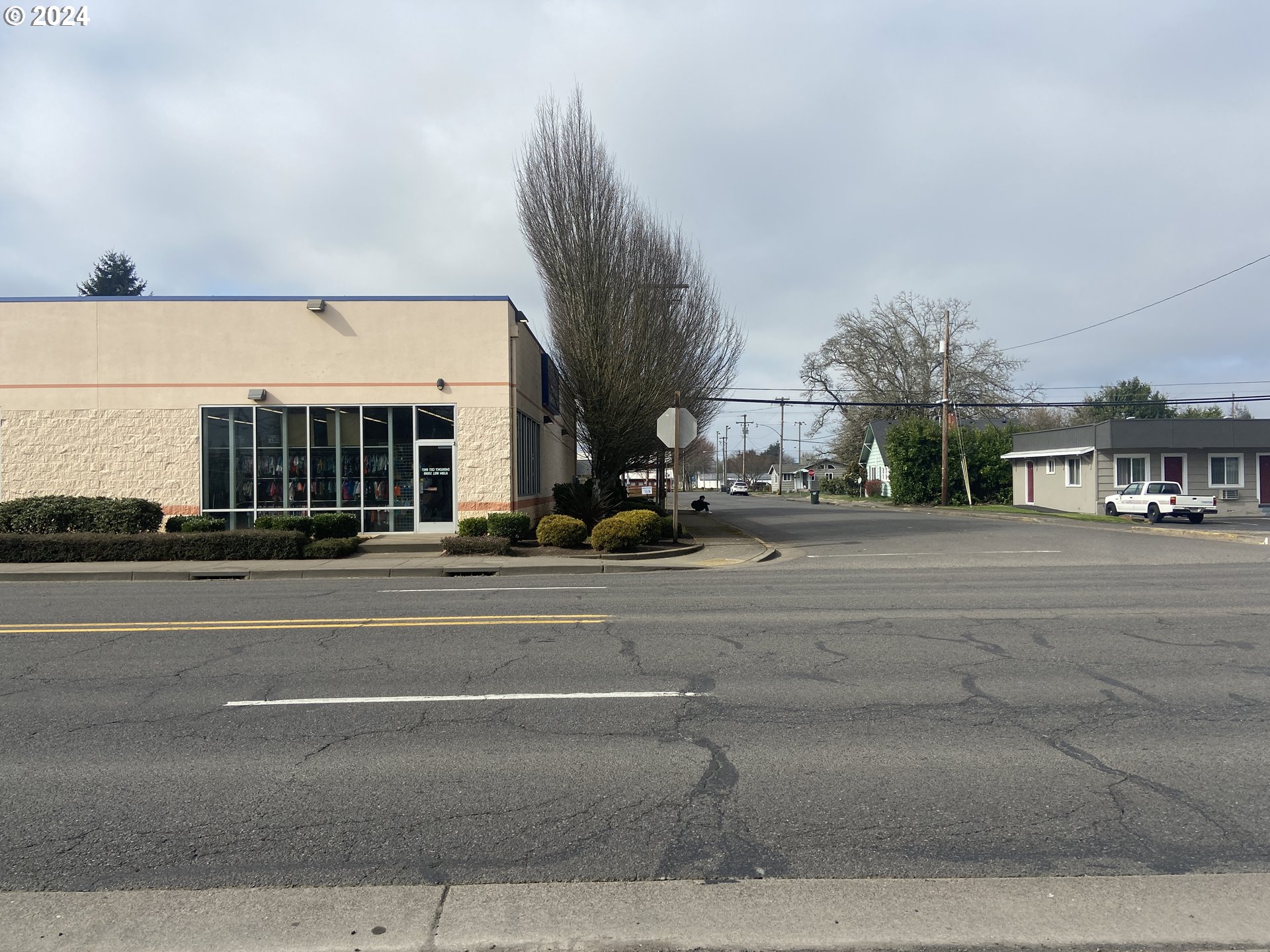 1480 IVY ST, Junction City, OR, 97448