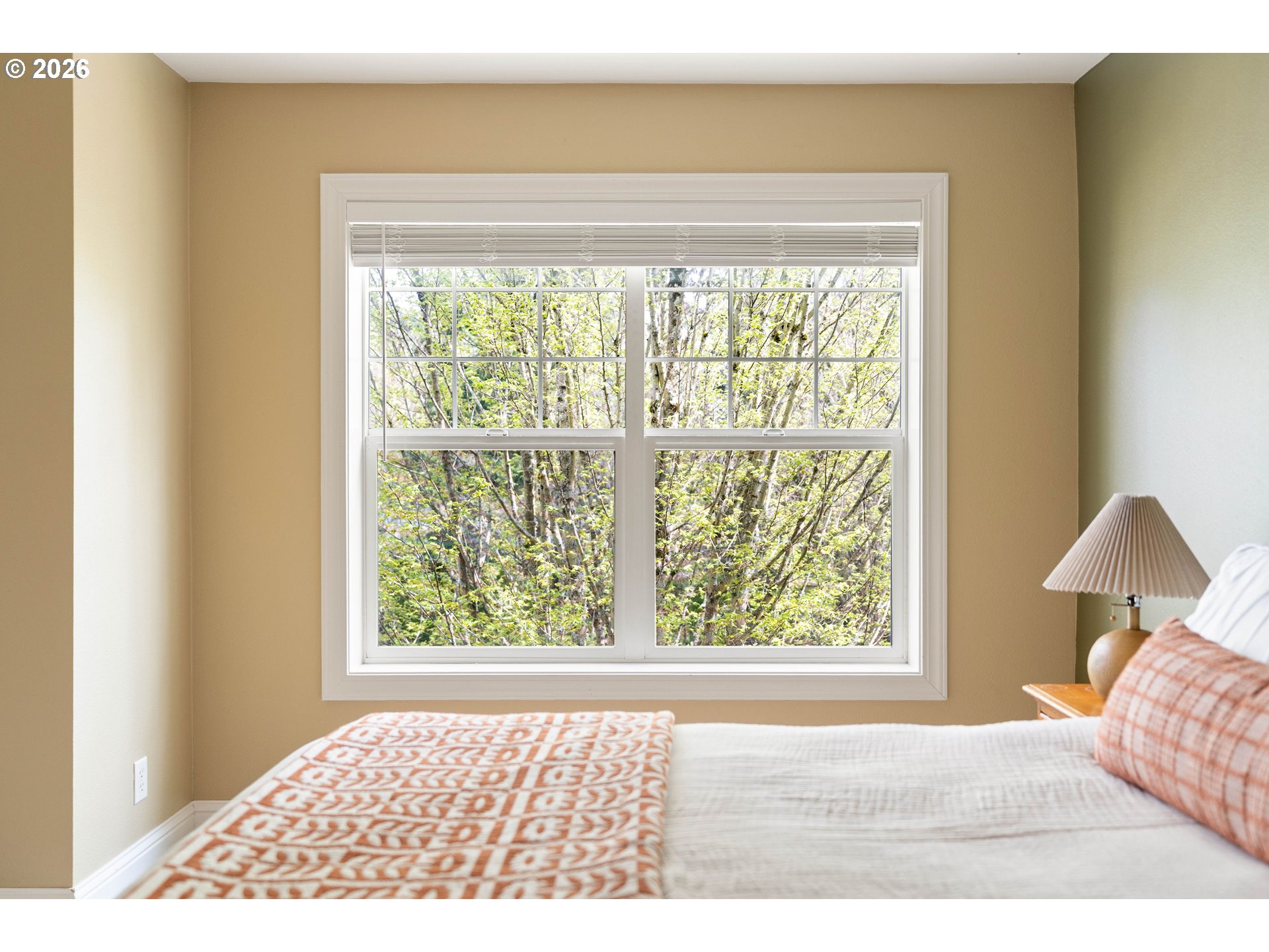 Photo #19: 240684064 Listing: Photo #19