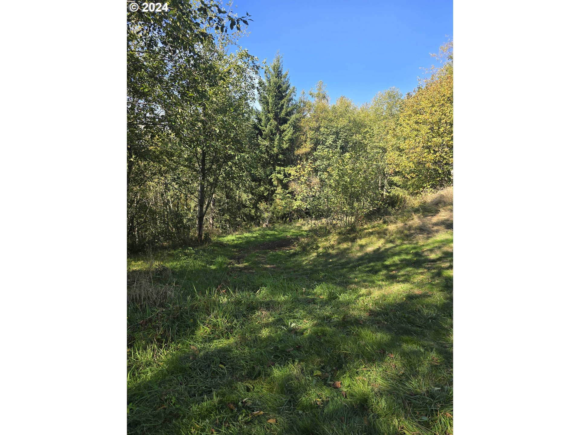 Photo of 2500 Lot 12 RD Toutle WA 98649