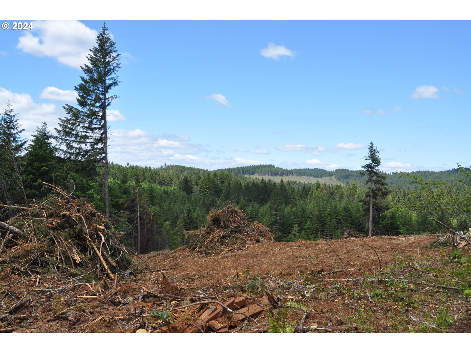 89975 SHEFFLER RD, Elmira, OR, 97437 89975 SHEFFLER RD, Elmira, OR, 97437