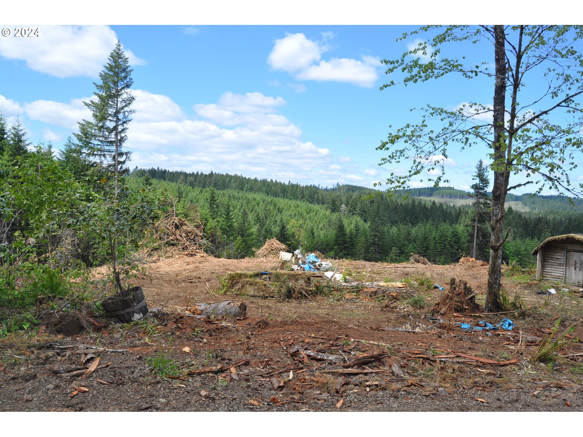 89975 SHEFFLER RD, Elmira, OR, 97437 89975 SHEFFLER RD, Elmira, OR, 97437