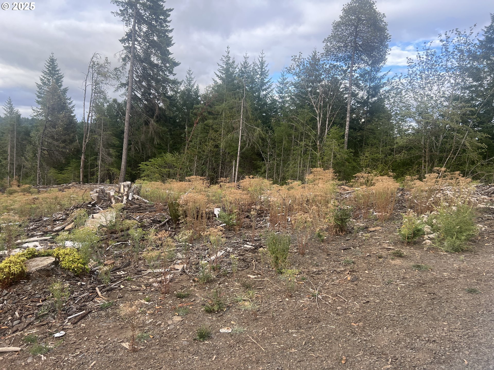 89975 SHEFFLER RD, Elmira, OR, 97437 89975 SHEFFLER RD, Elmira, OR, 97437