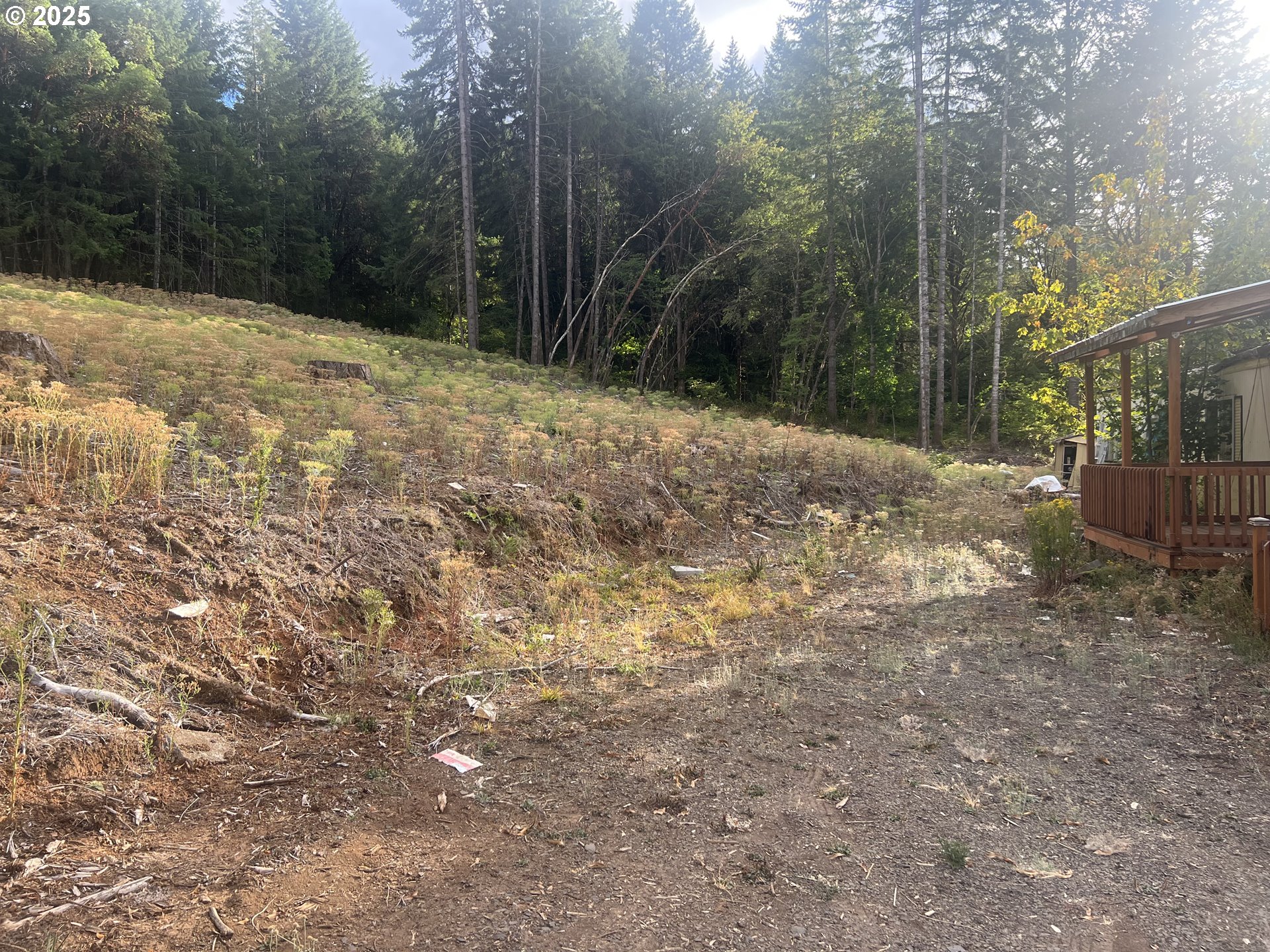 89975 SHEFFLER RD, Elmira, OR, 97437 89975 SHEFFLER RD, Elmira, OR, 97437