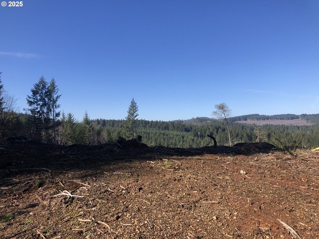 89975 SHEFFLER RD, Elmira, OR, 97437 89975 SHEFFLER RD, Elmira, OR, 97437