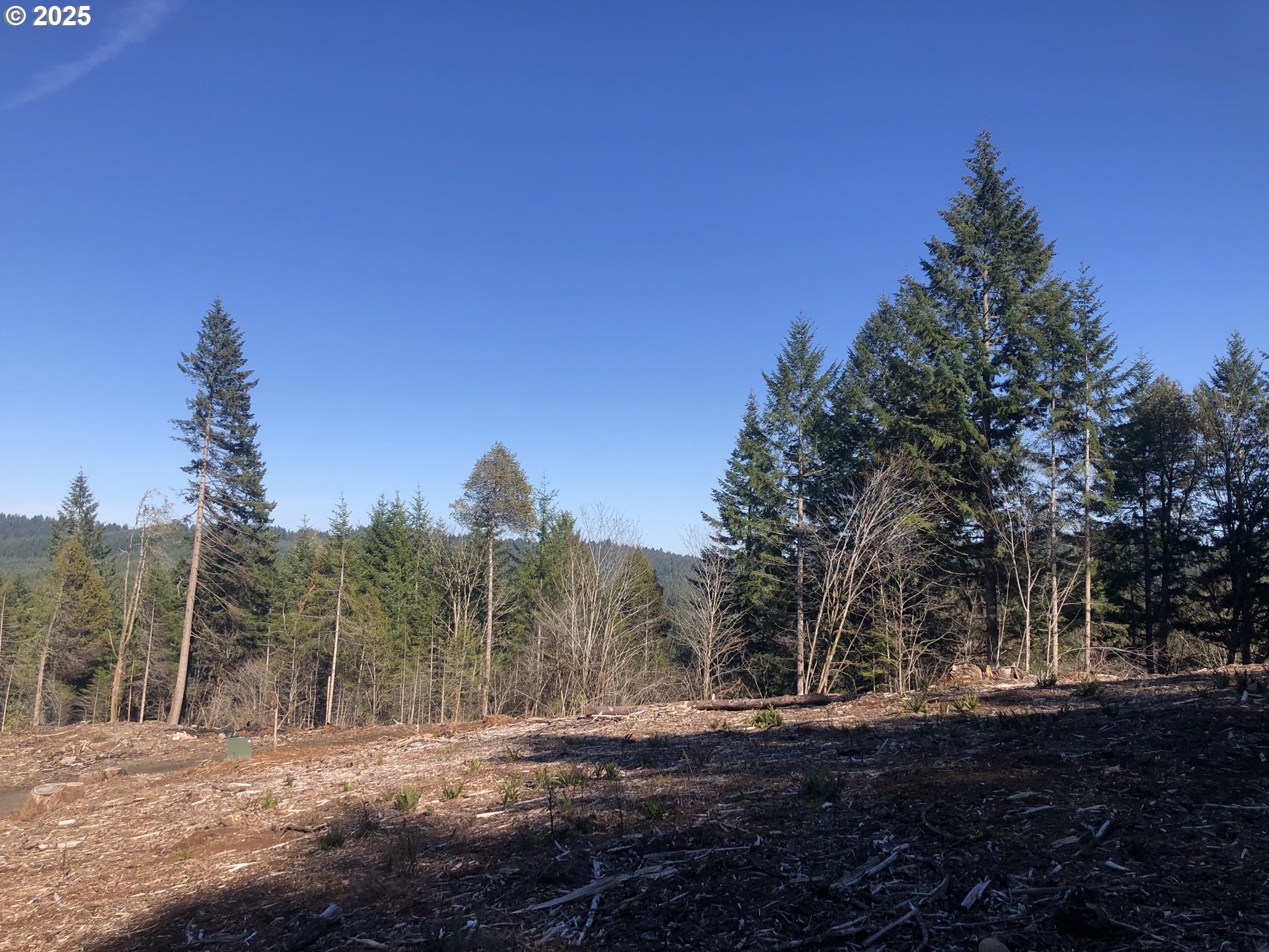 89975 SHEFFLER RD, Elmira, OR, 97437 89975 SHEFFLER RD, Elmira, OR, 97437