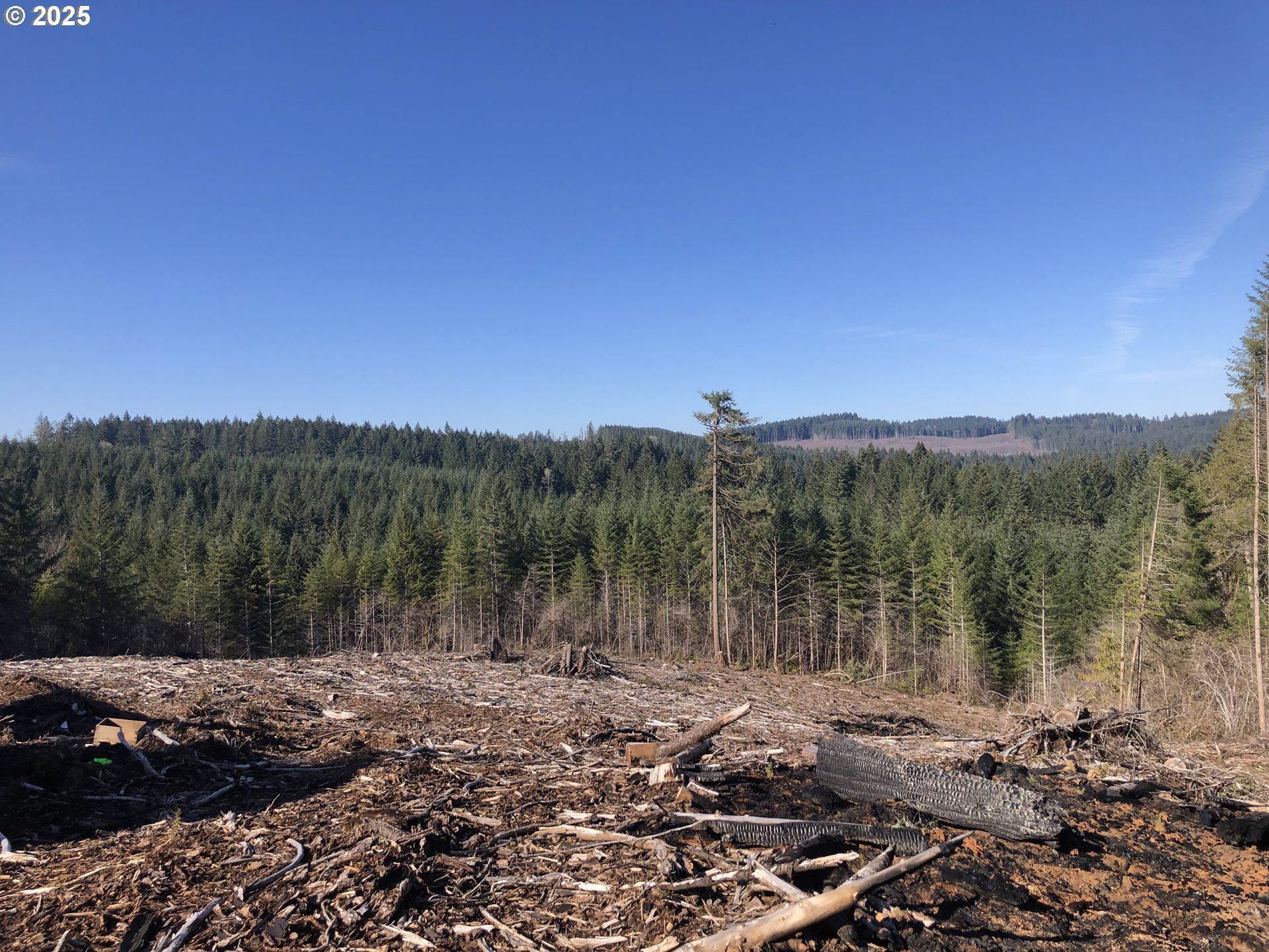 89975 SHEFFLER RD, Elmira, OR, 97437 89975 SHEFFLER RD, Elmira, OR, 97437