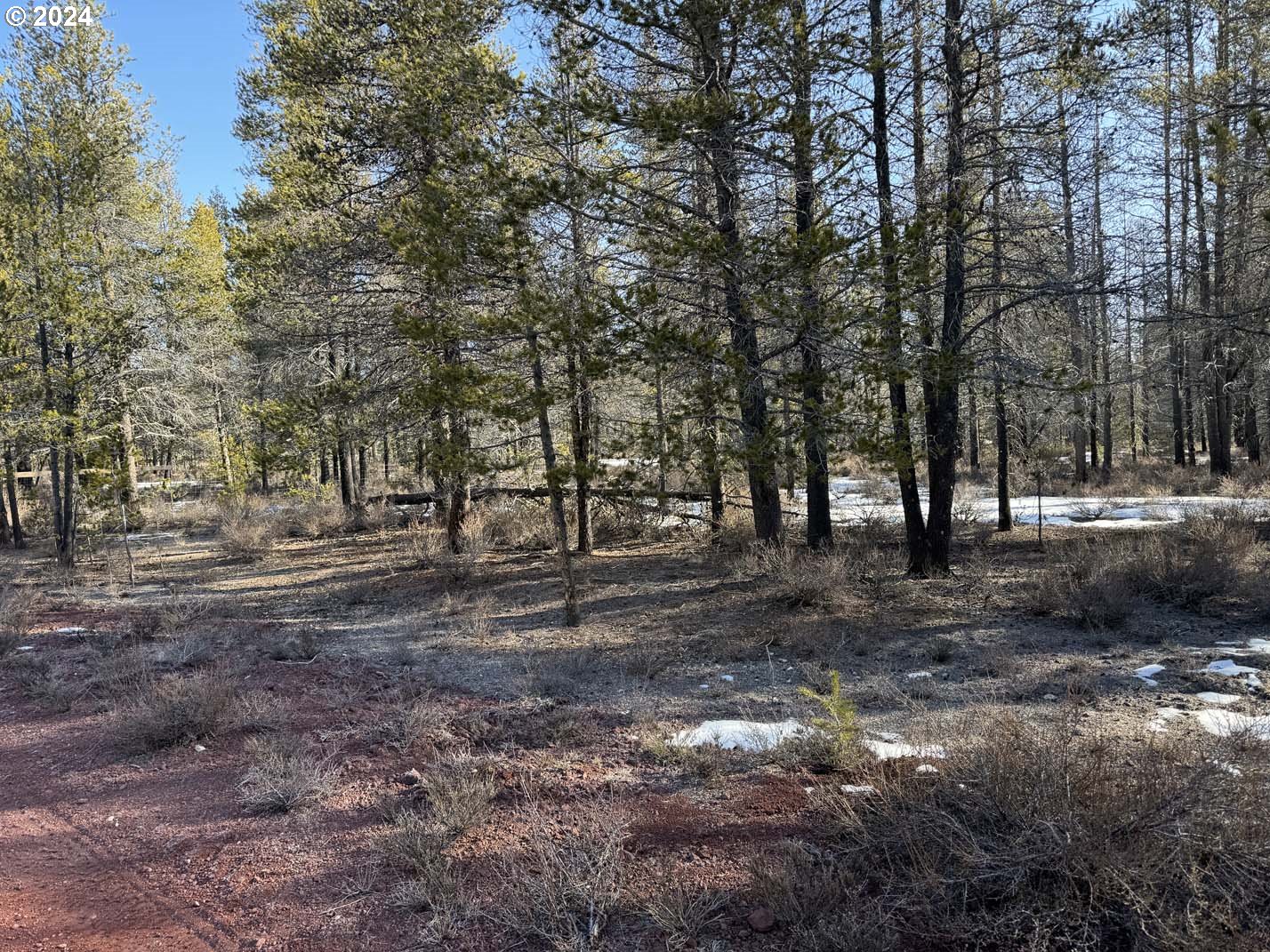 Search Homes for Sale