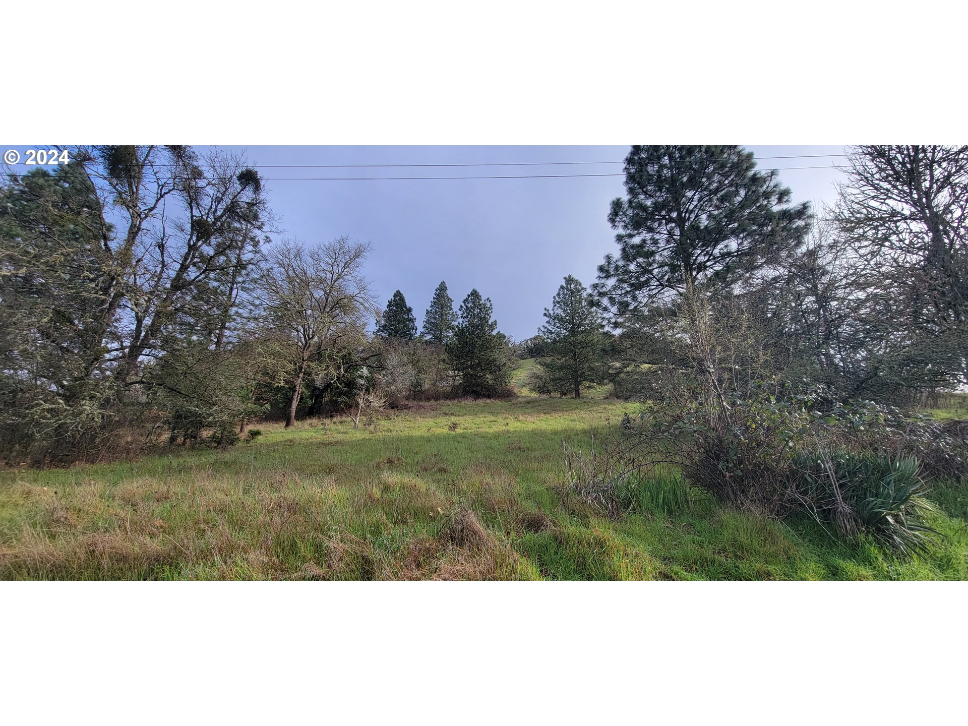 Search Homes for Sale