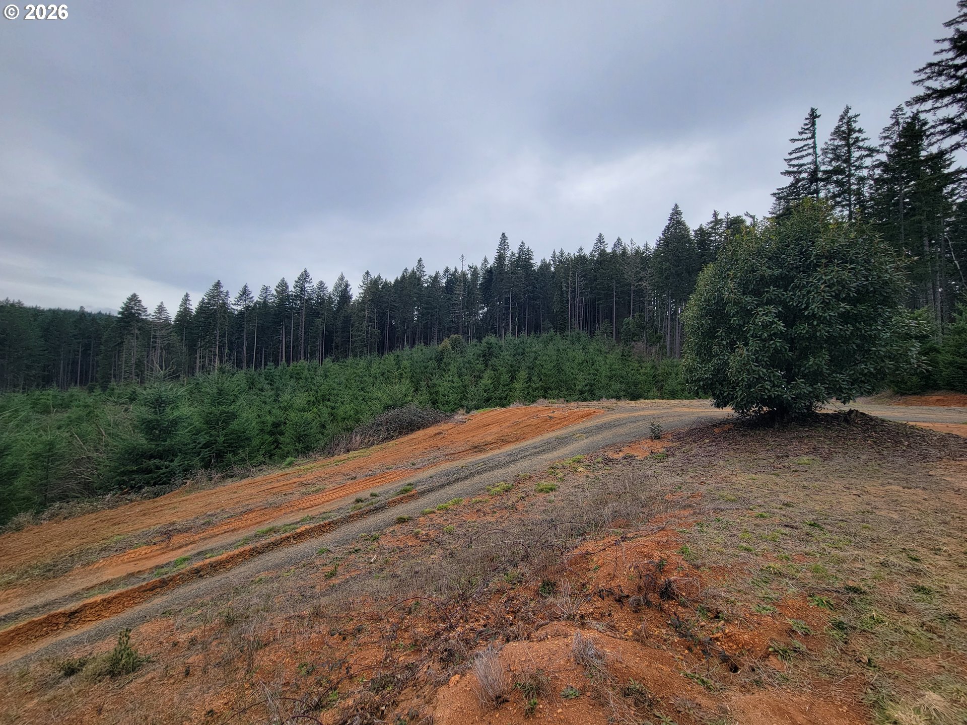 Gowdyville RD, Cottage Grove, OR, 97424