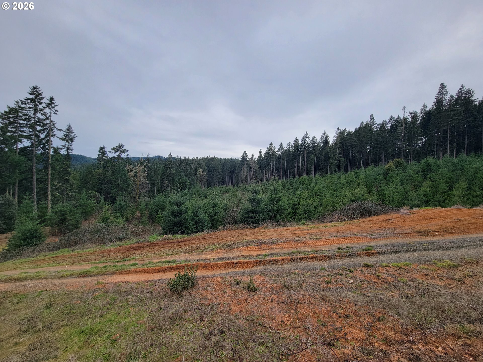 Gowdyville RD, Cottage Grove, OR, 97424