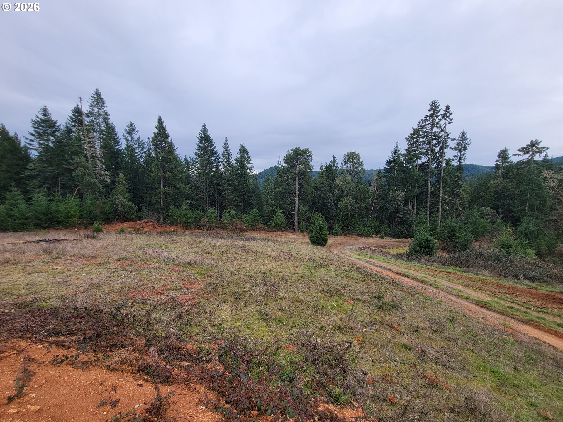 Gowdyville RD, Cottage Grove, OR, 97424