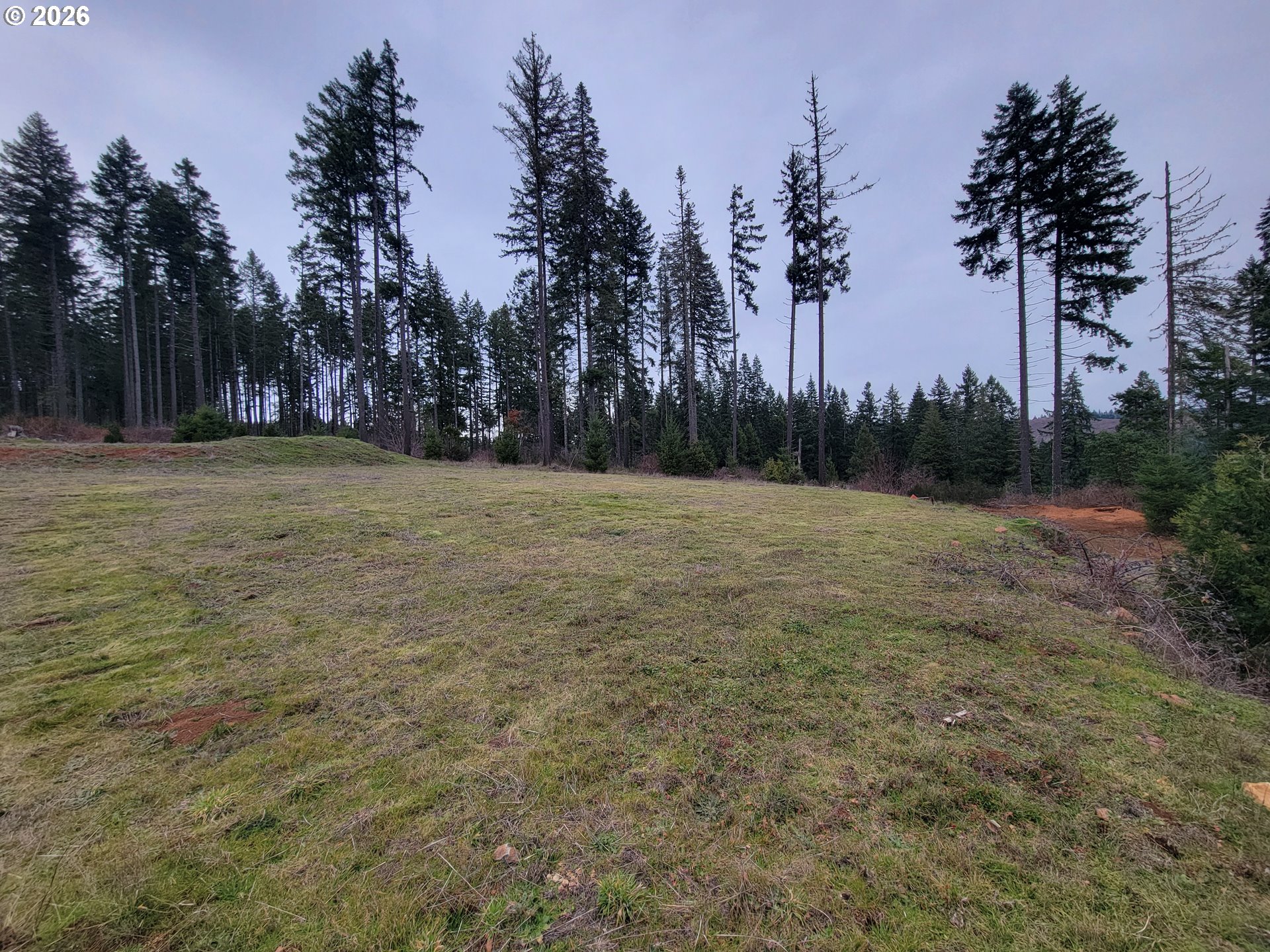 Gowdyville RD, Cottage Grove, OR, 97424