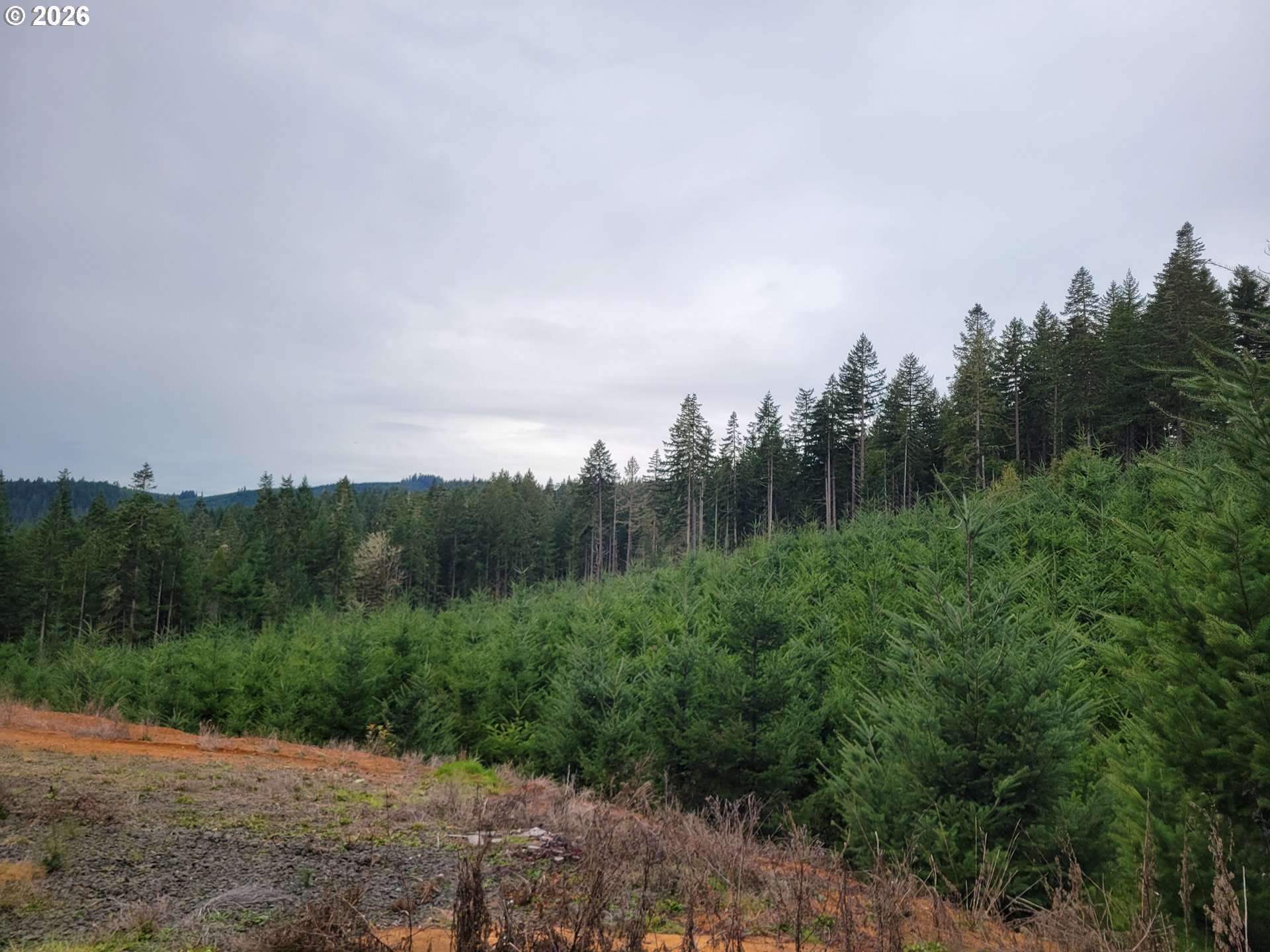 Gowdyville RD, Cottage Grove, OR, 97424