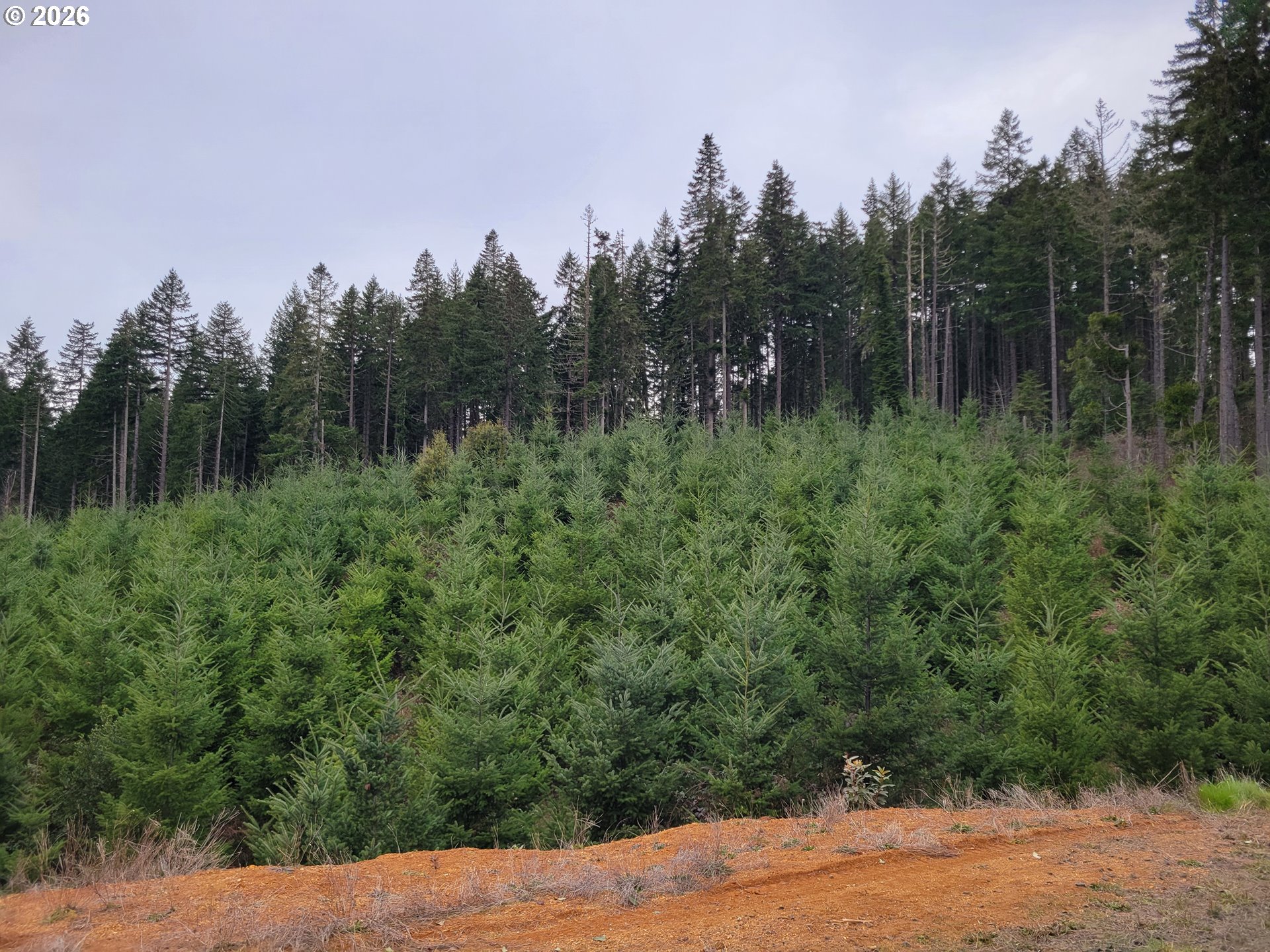 Gowdyville RD, Cottage Grove, OR, 97424