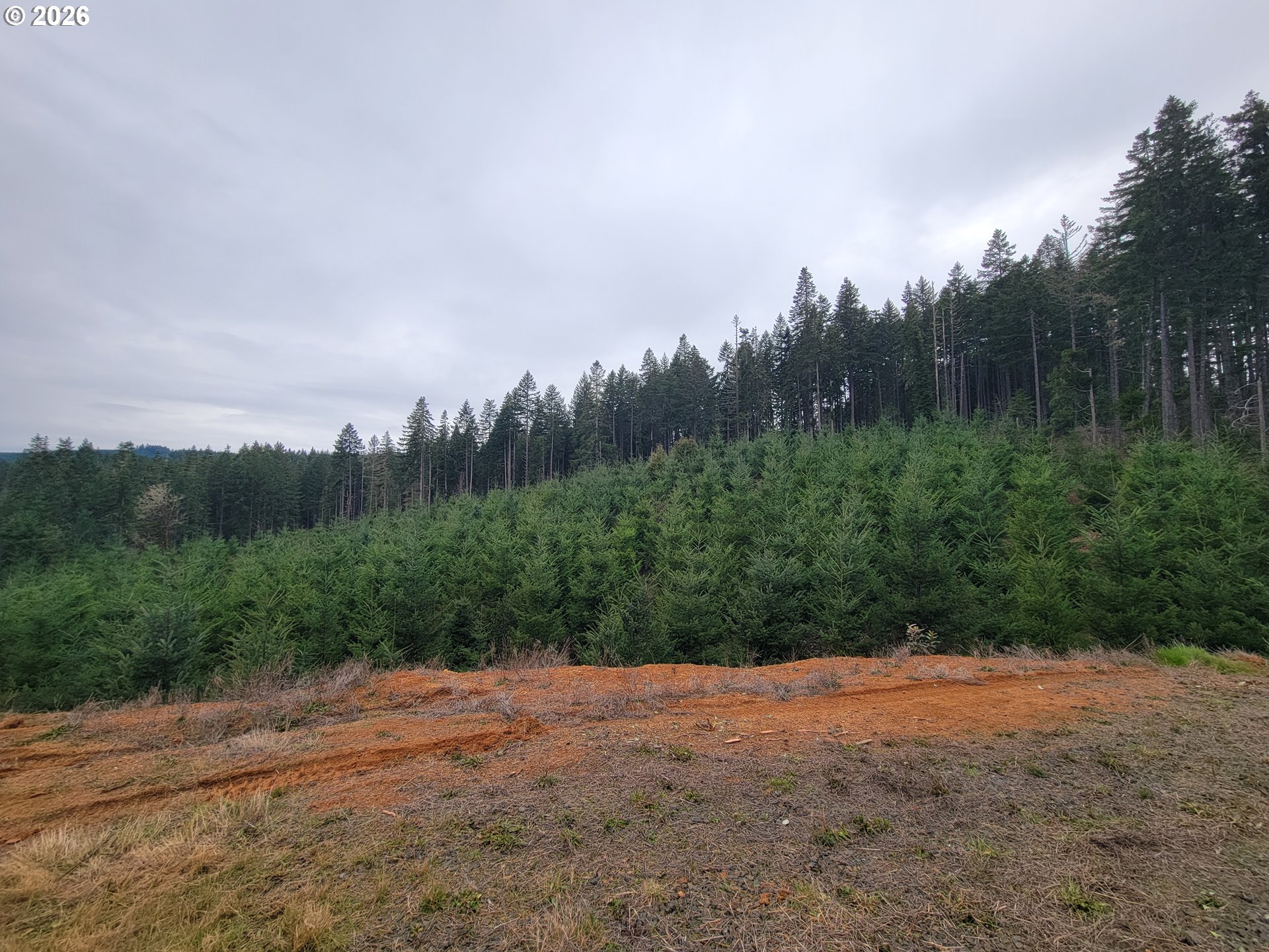 Gowdyville RD, Cottage Grove, OR, 97424