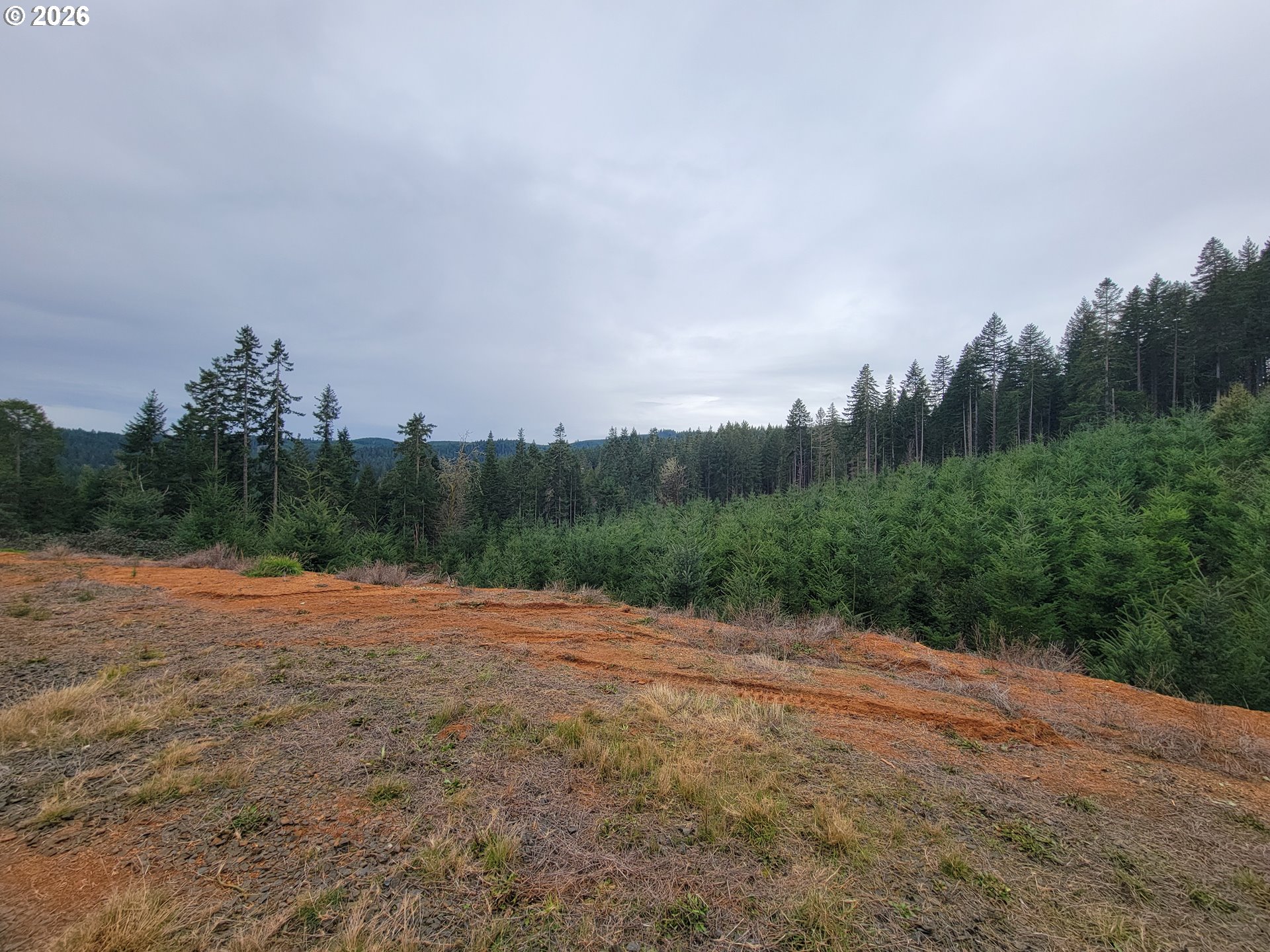 Gowdyville RD, Cottage Grove, OR, 97424