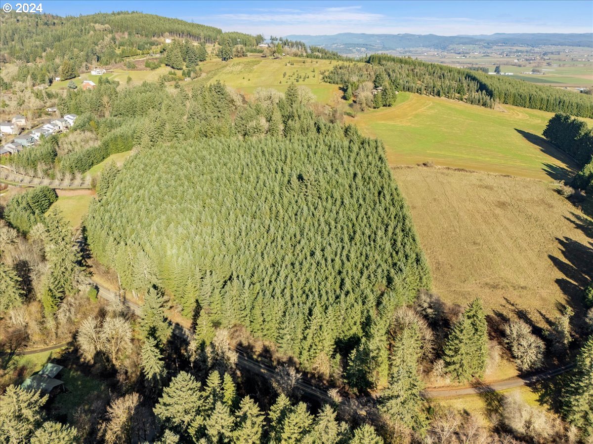 9900 S WILDCAT RD, Molalla, OR, 97038