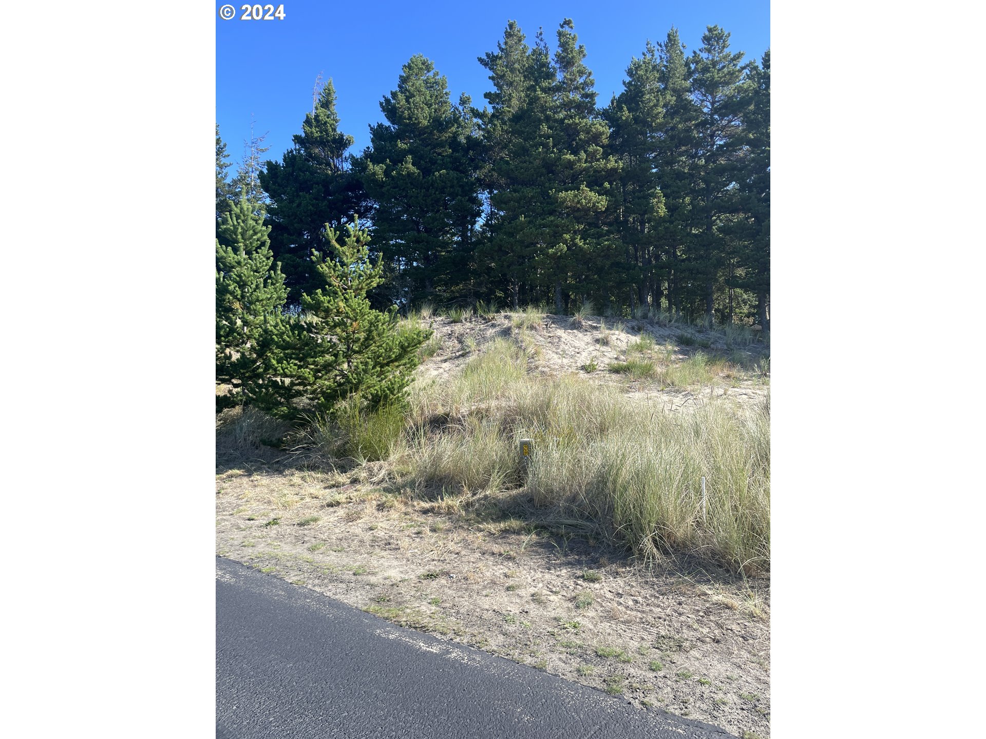 Photo of Pine Ridge DR Manzanita OR 97130