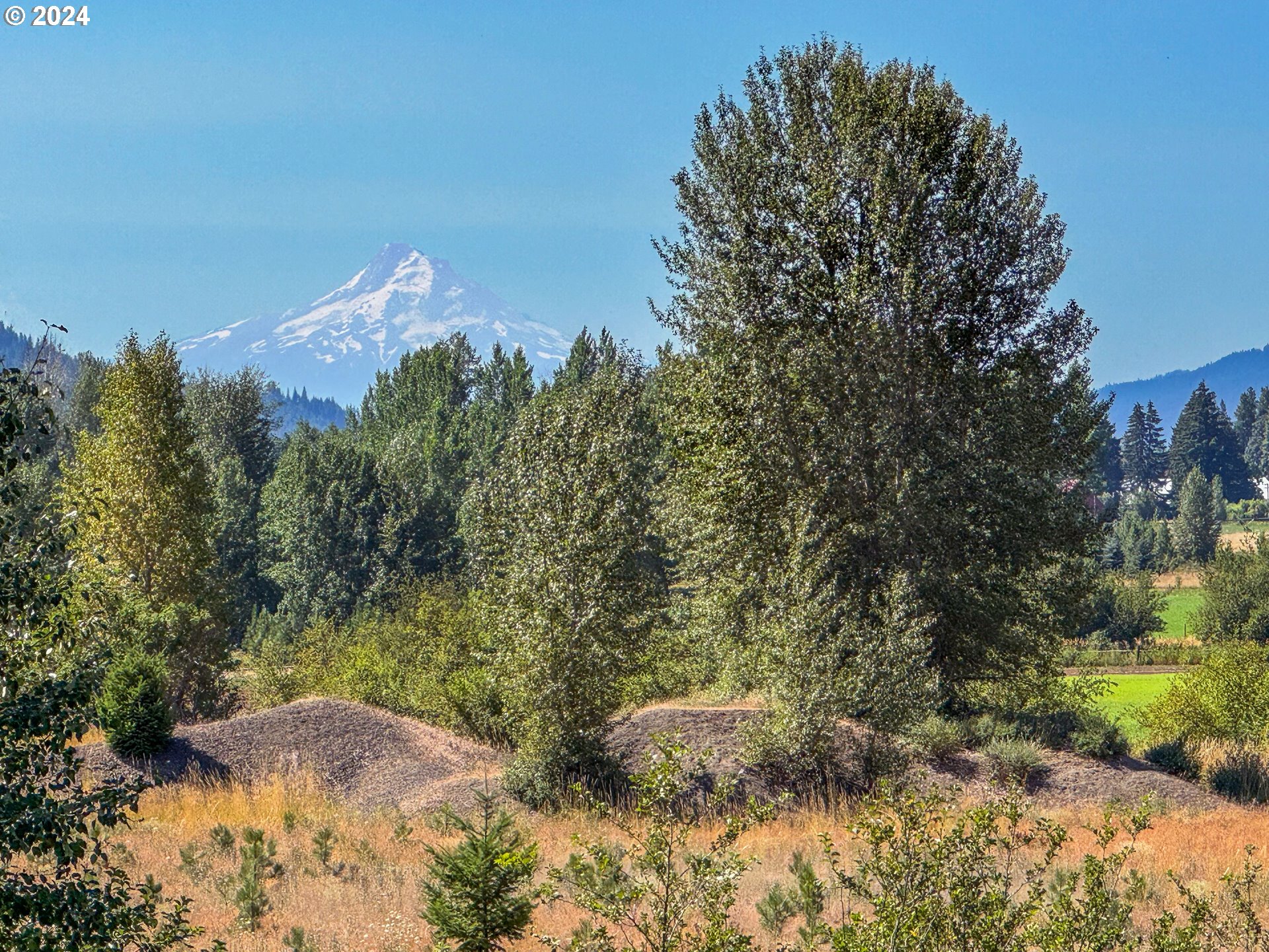 Photo of Trout Lake HWY Trout Lake WA 98650