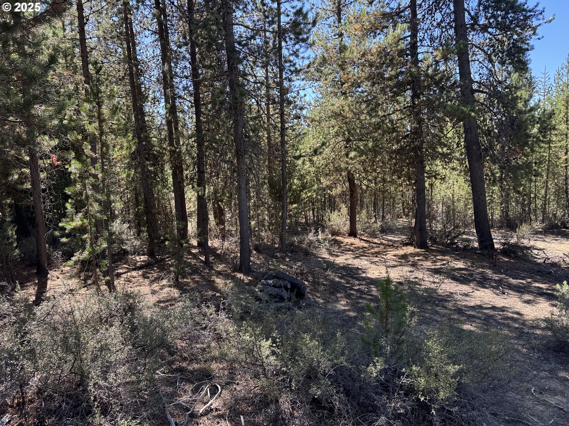 6600 NE Jones LOOP, Neotsu, OR, 97364