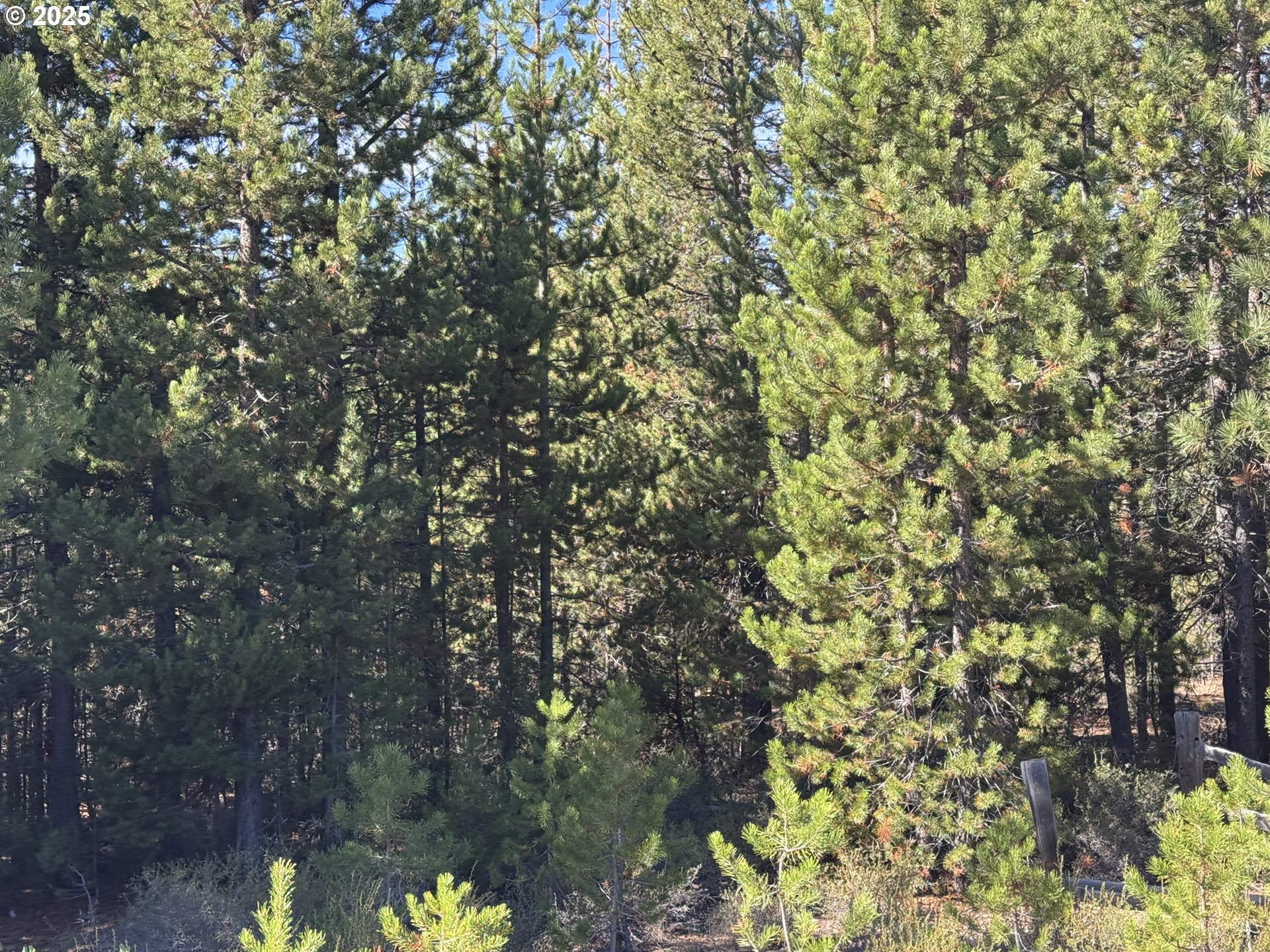 Crescent Moon Drive UNIT 29, Crescent Lake, OR, 97733