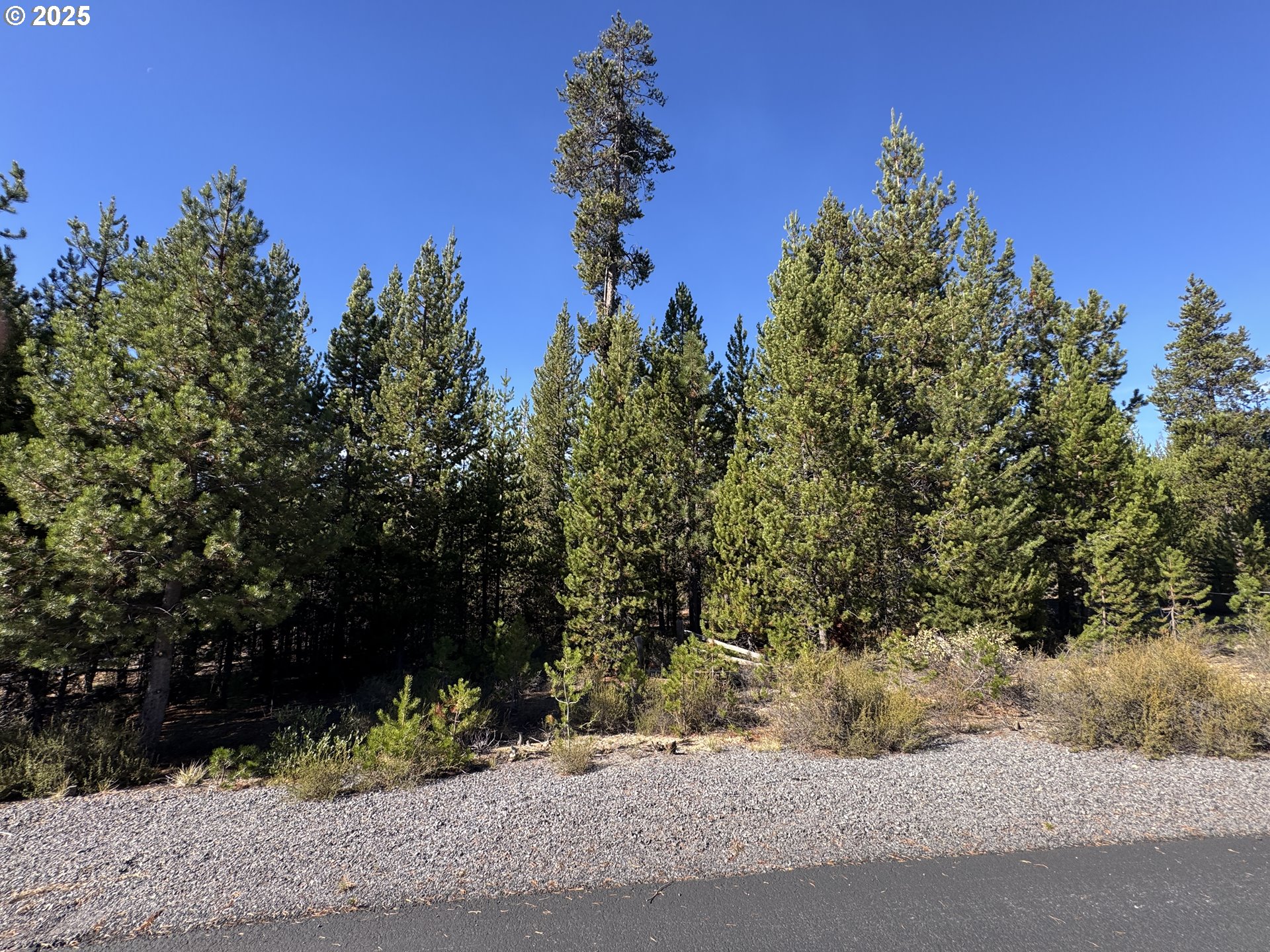 Crescent Moon Drive UNIT 29, Crescent Lake, OR, 97733