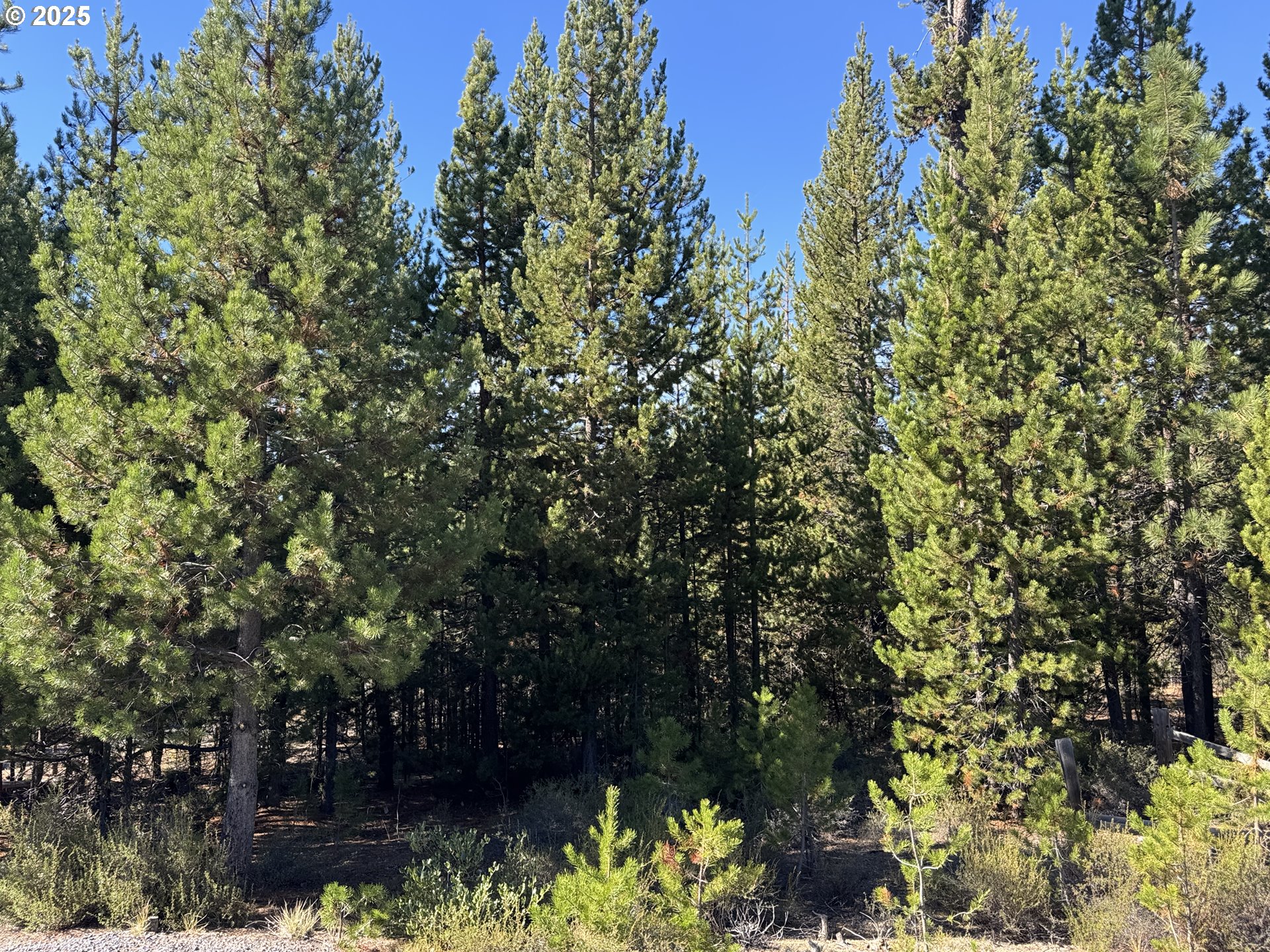 Crescent Moon Drive UNIT 29, Crescent Lake, OR, 97733