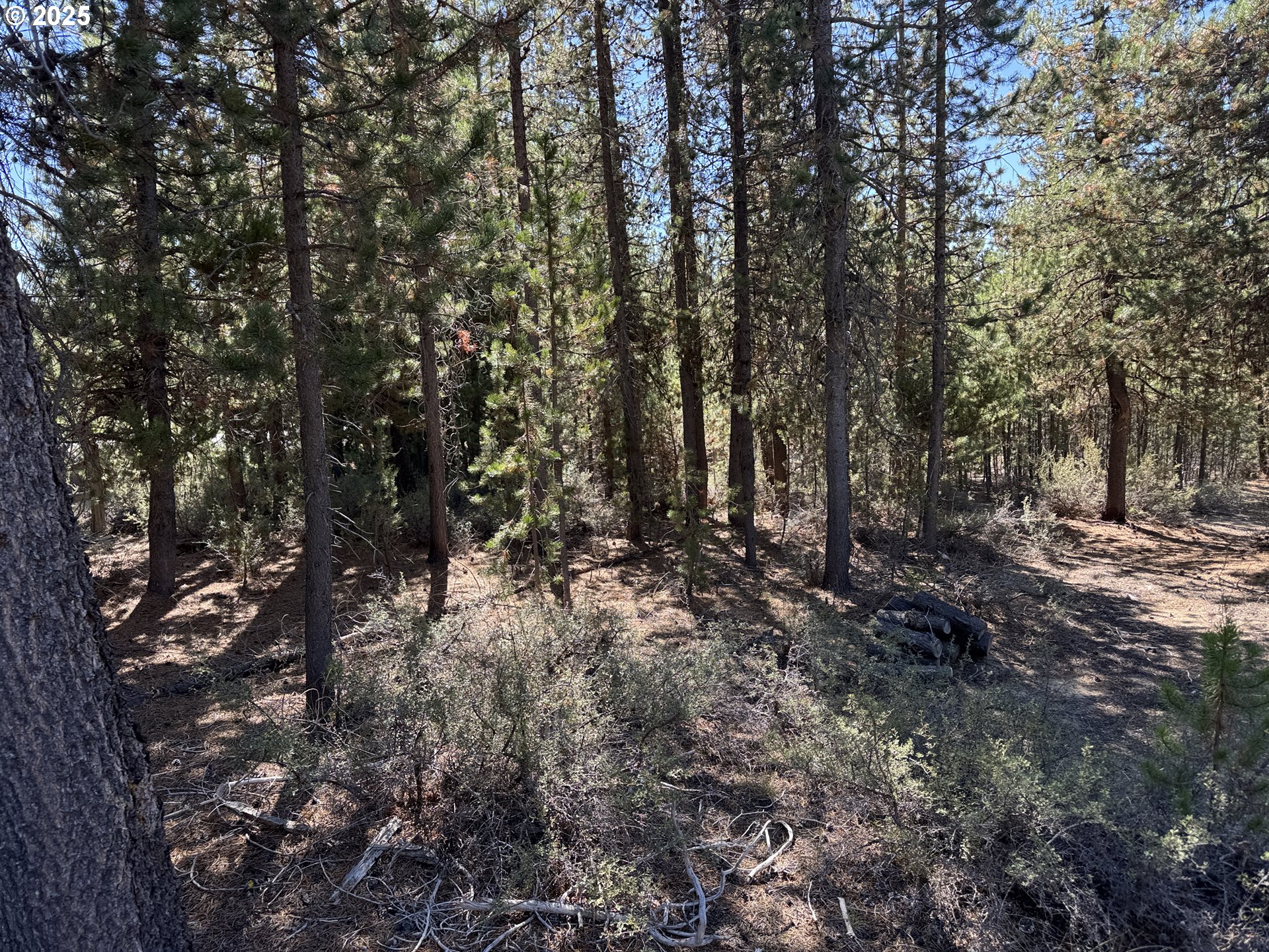 Crescent Moon Drive UNIT 29, Crescent Lake, OR, 97733